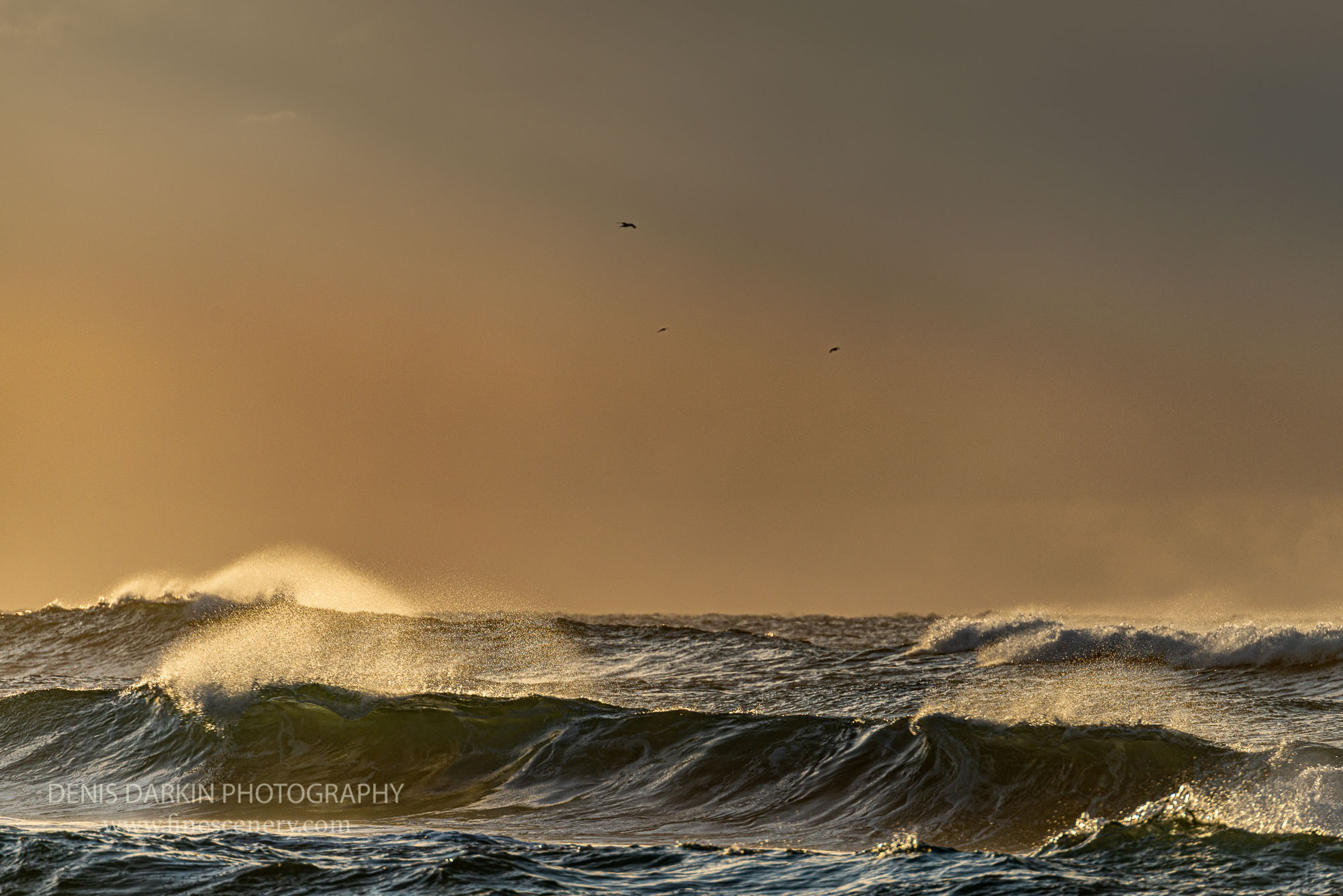 Stormy. Denis Darkin scenic photography