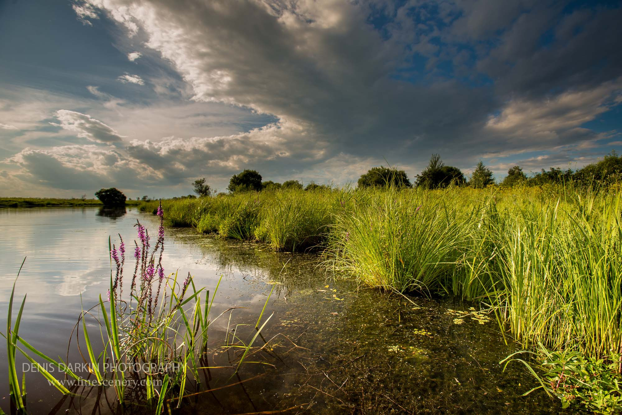 Stormy. Denis Darkin scenic photography