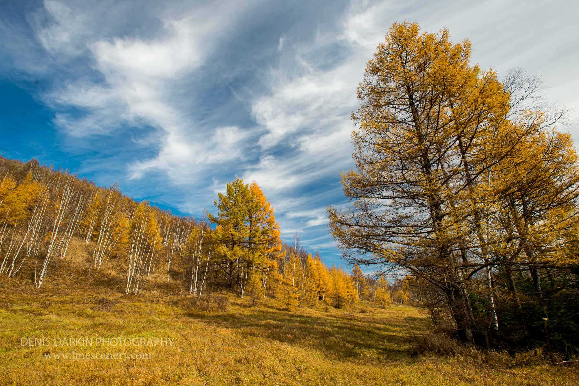 Seasons. Denis Darkin scenic photography