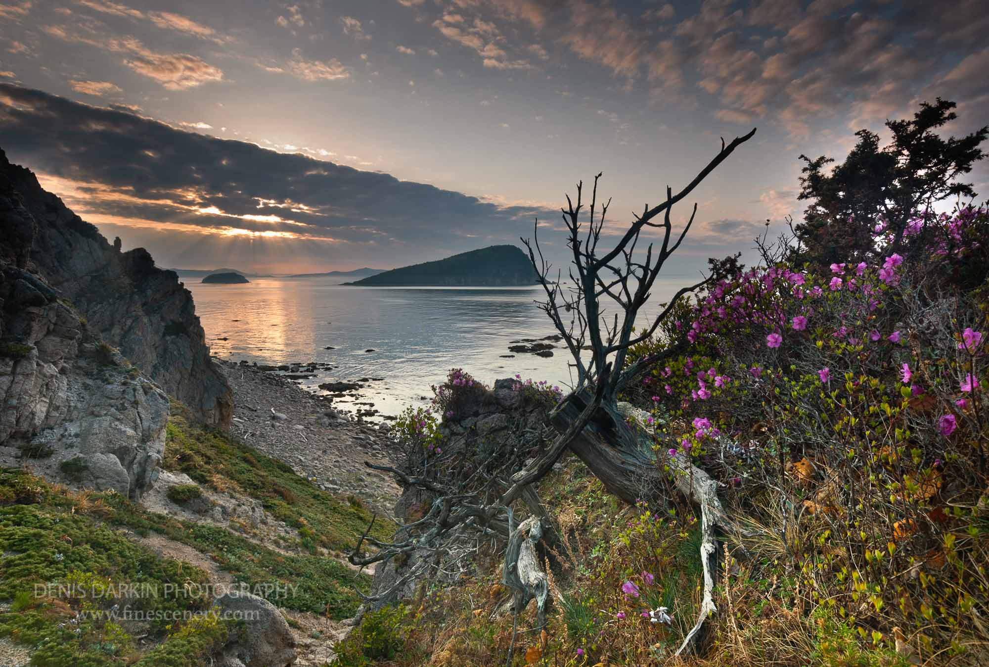 Lazovsky State Reserve, Russia. Denis Darkin scenic photography