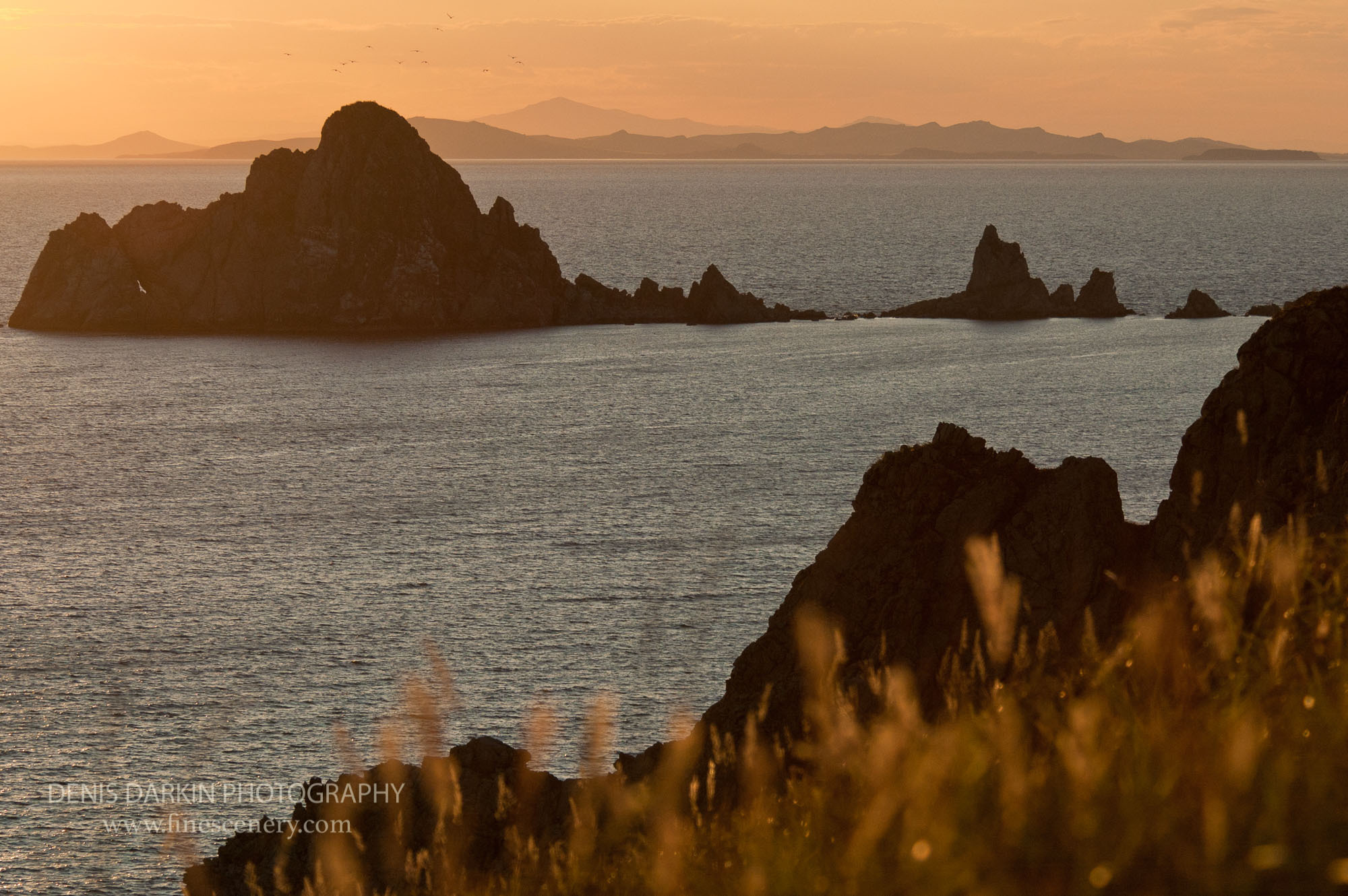 Far East Marine Reserve, Russia. Denis Darkin scenic photography