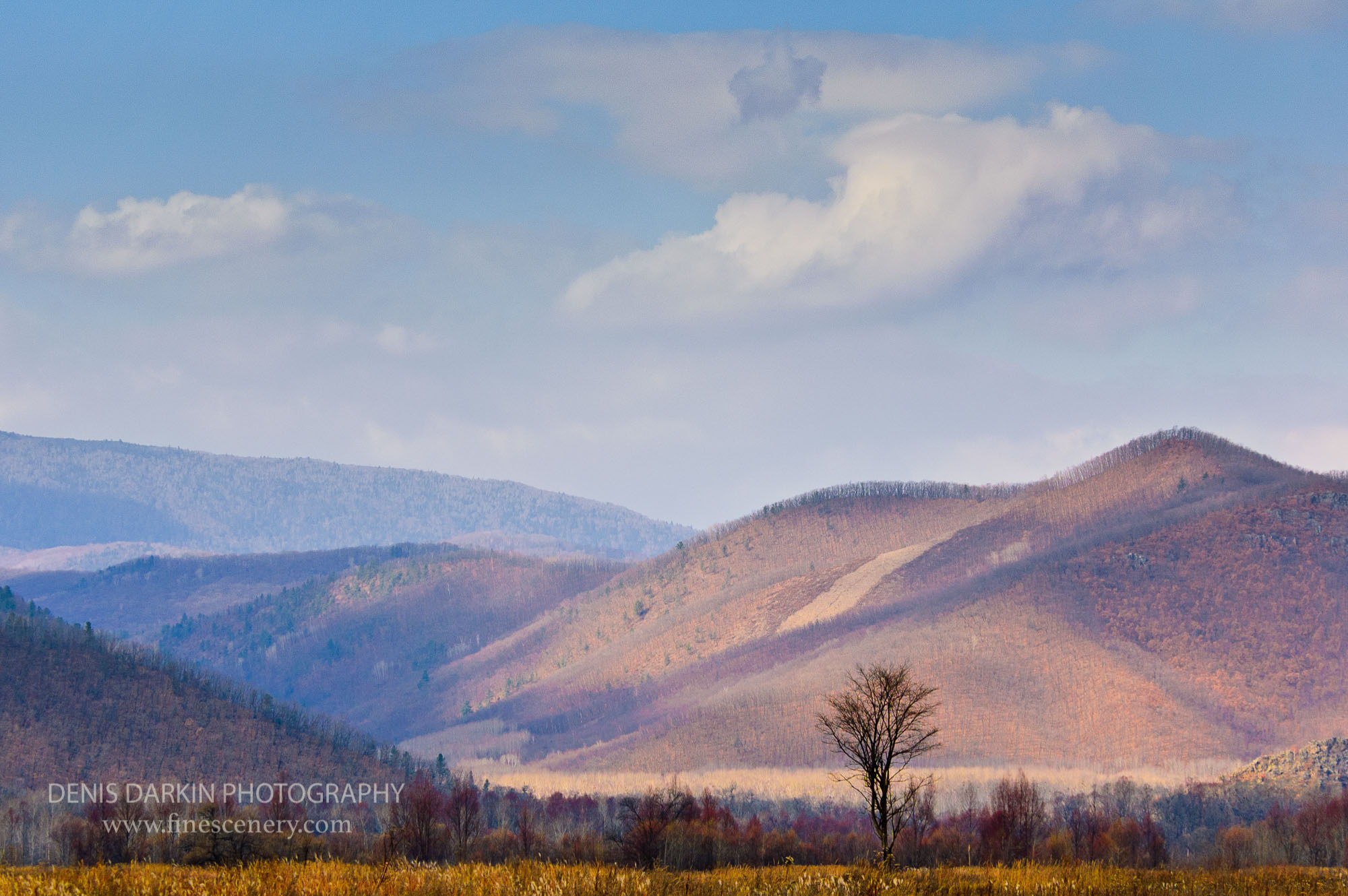 Seasons. Denis Darkin scenic photography