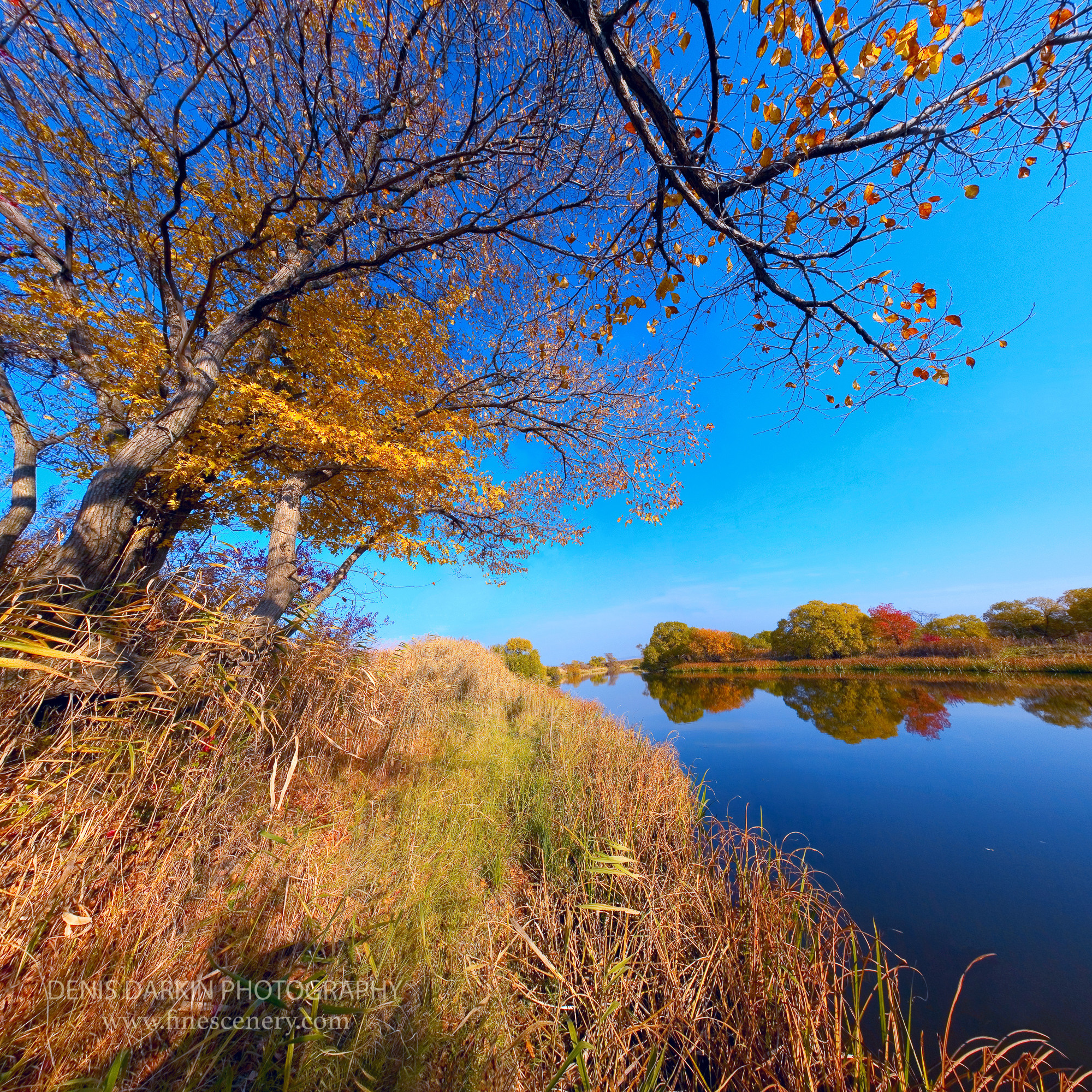 Denis Darkin scenic photography
