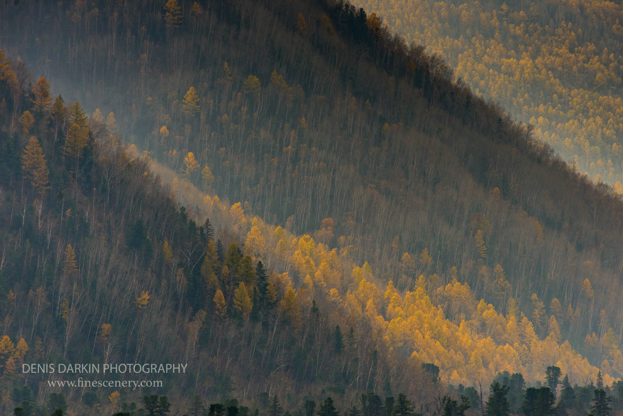 Denis Darkin scenic photography