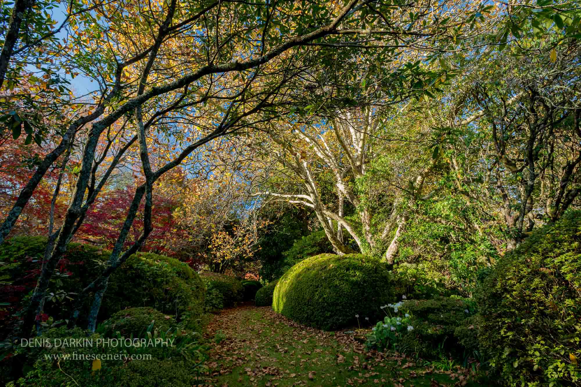 Seasons. Denis Darkin scenic photography