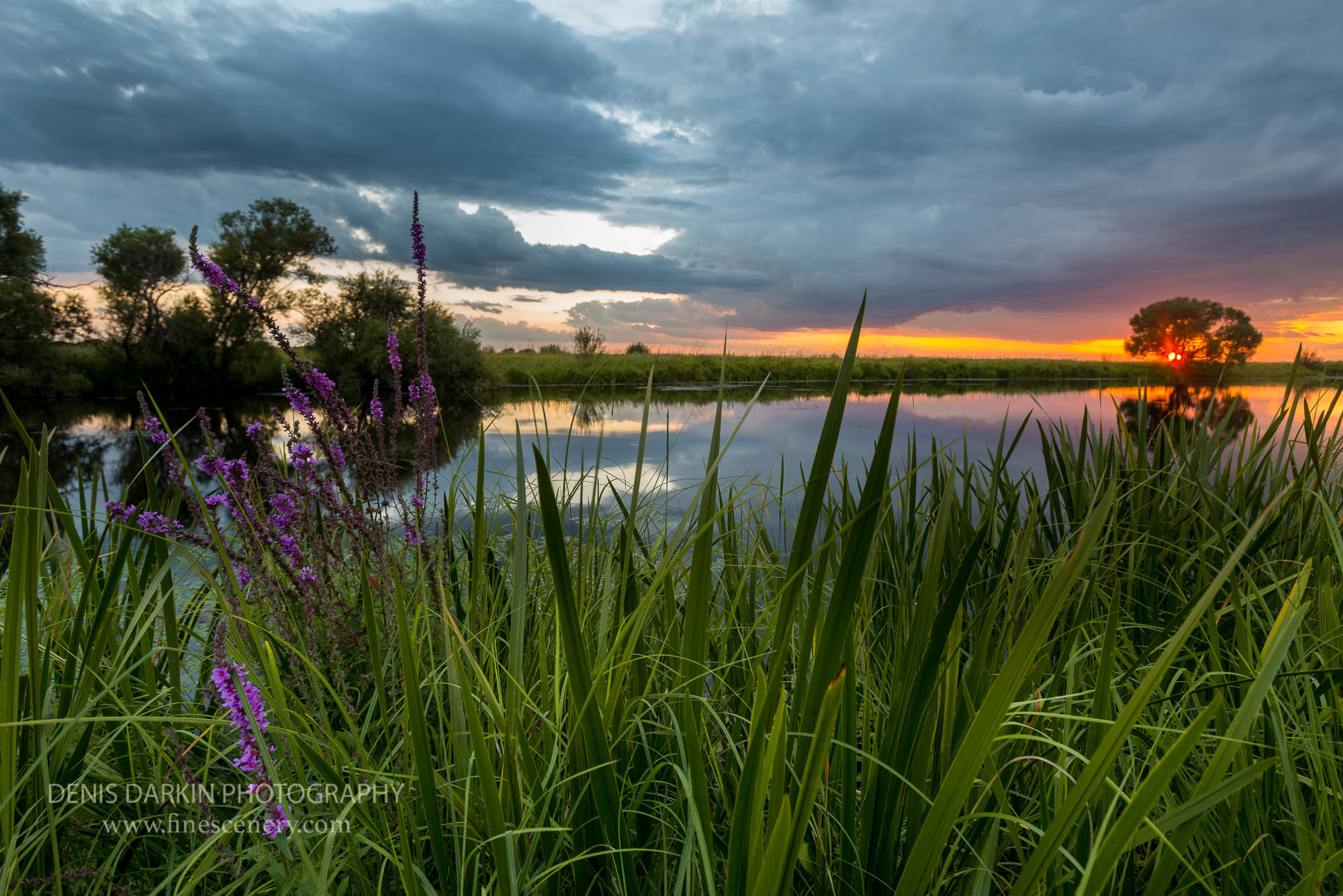 Rivers. Denis Darkin scenic photography