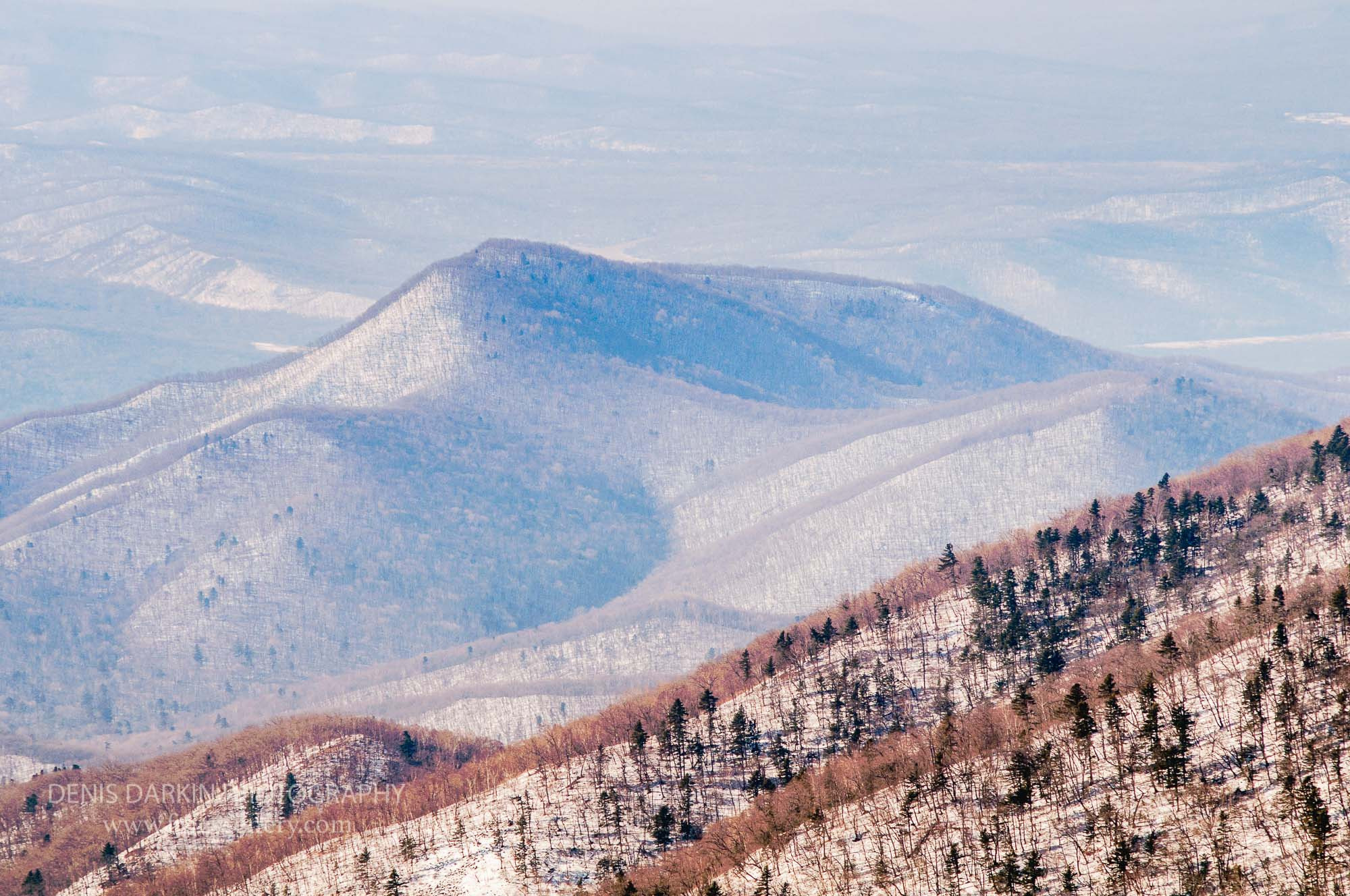Seasons. Denis Darkin scenic photography