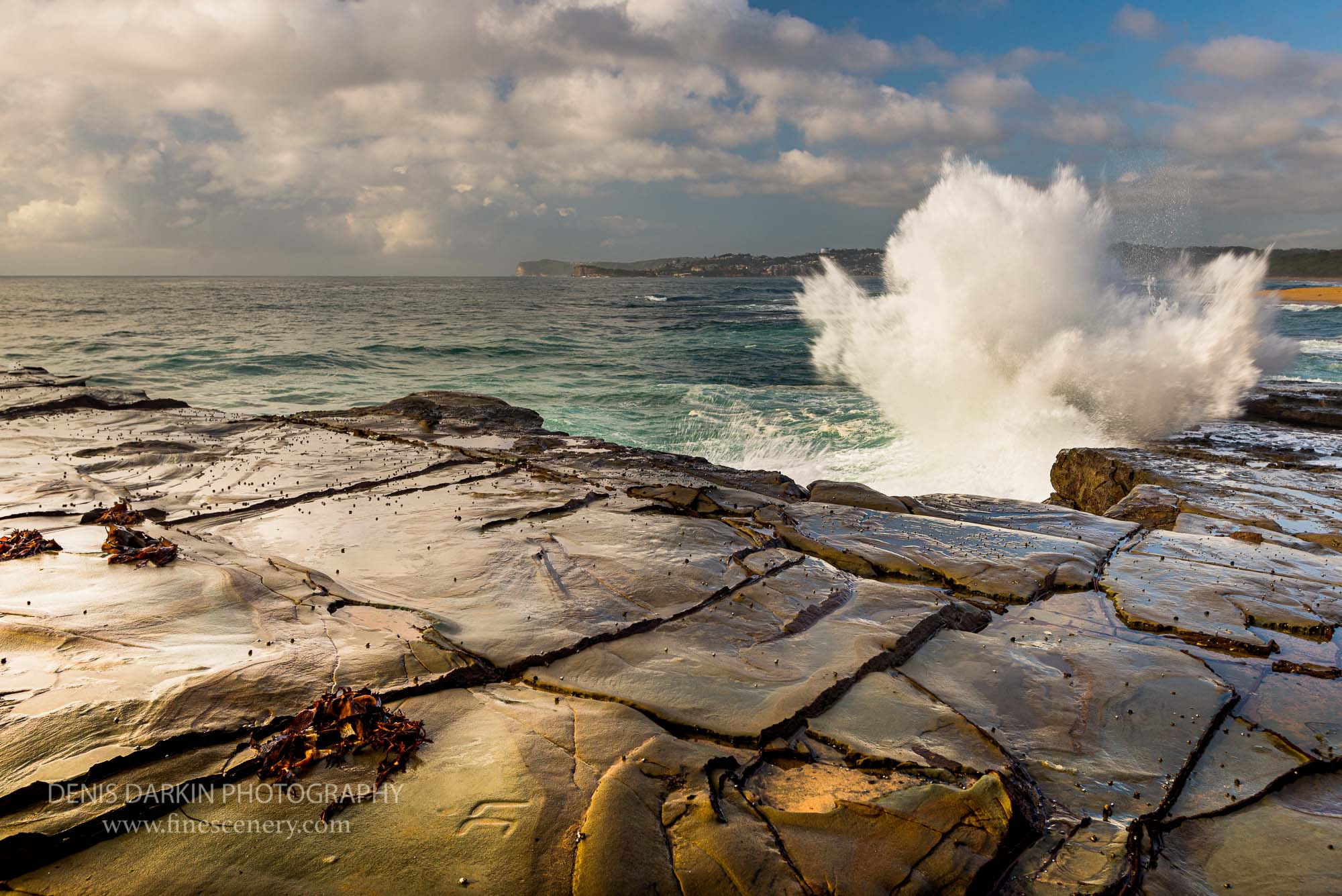 The power and beauty of waves. Denis Darkin scenic photography