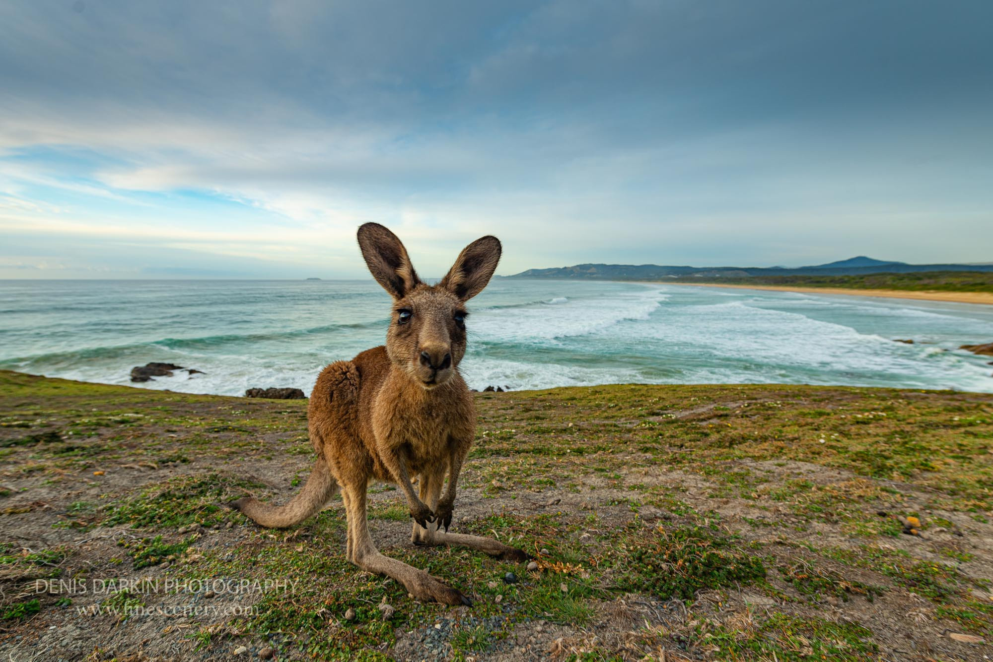 Nature. Denis Darkin scenic photography