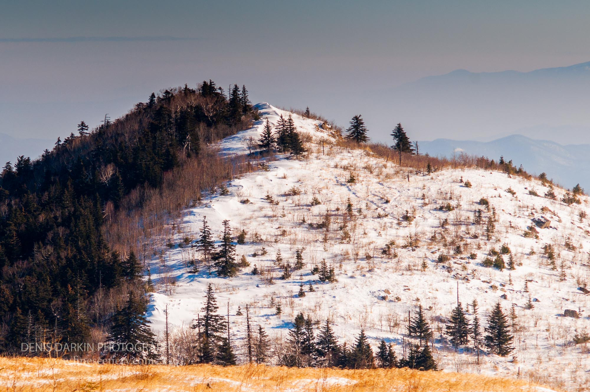 Seasons. Denis Darkin scenic photography