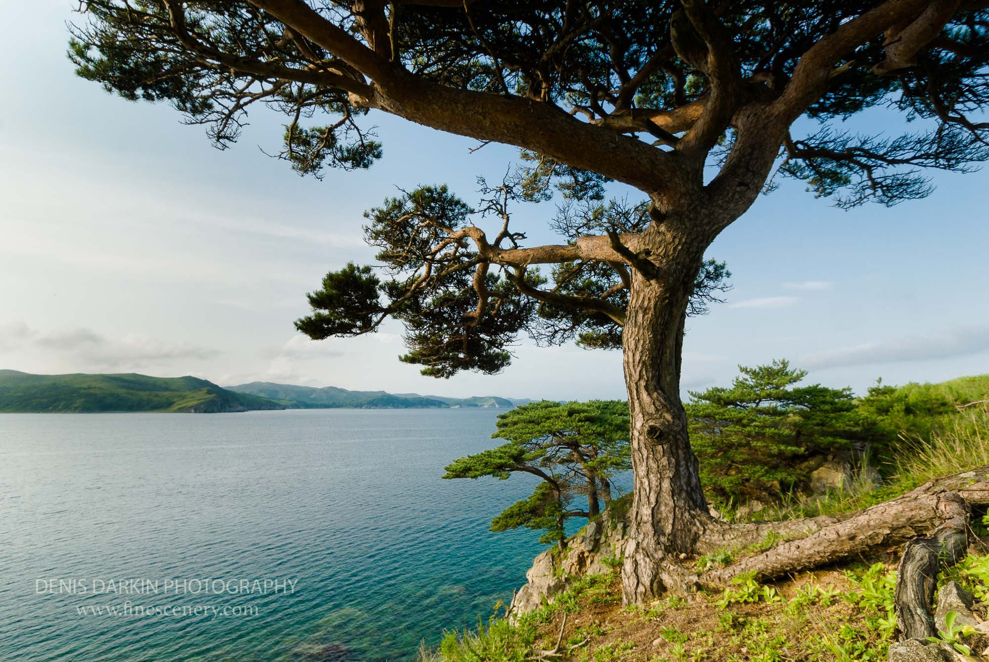 Far East Marine Reserve, Russia. Denis Darkin scenic photography