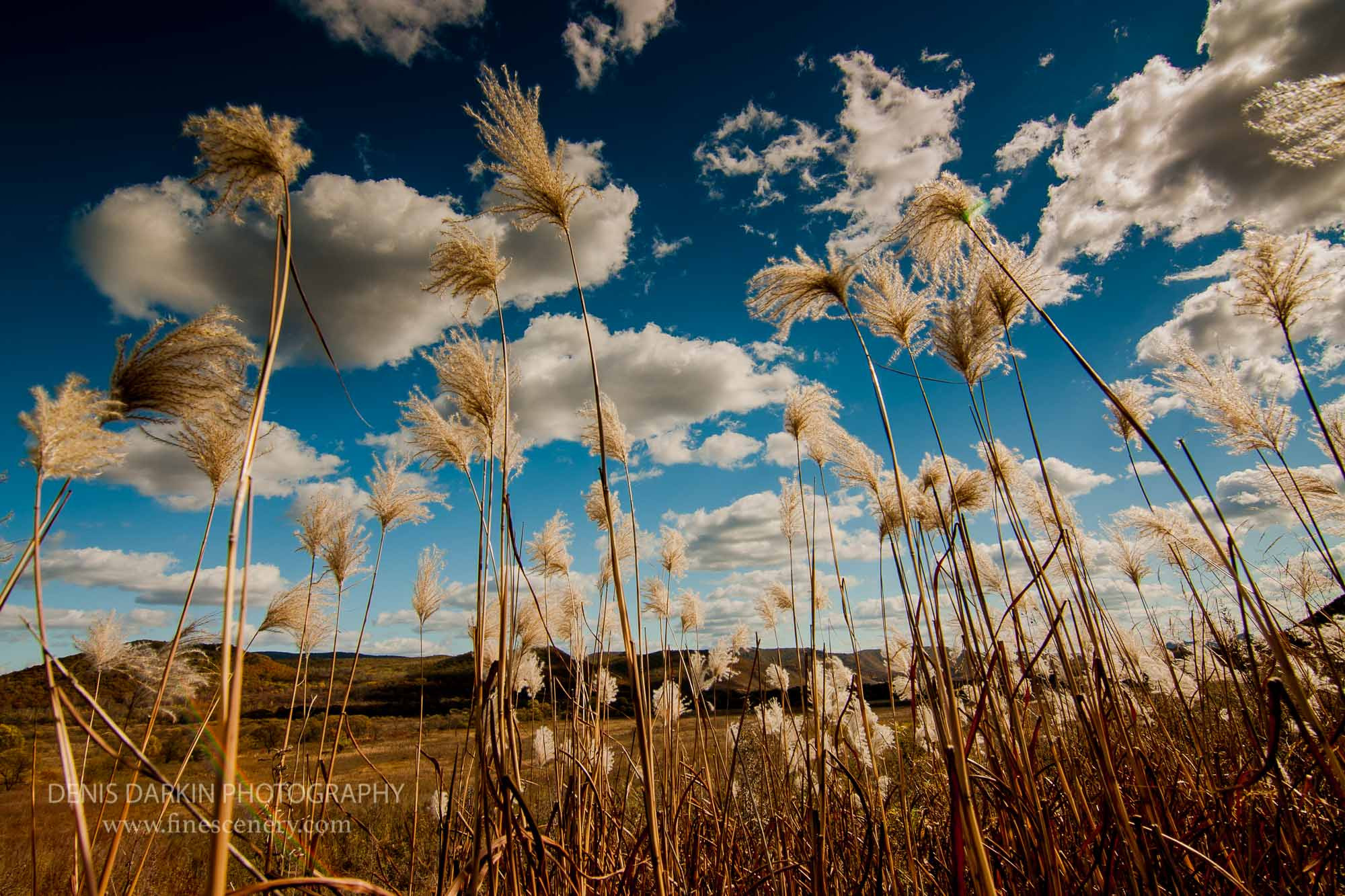 Denis Darkin scenic photography