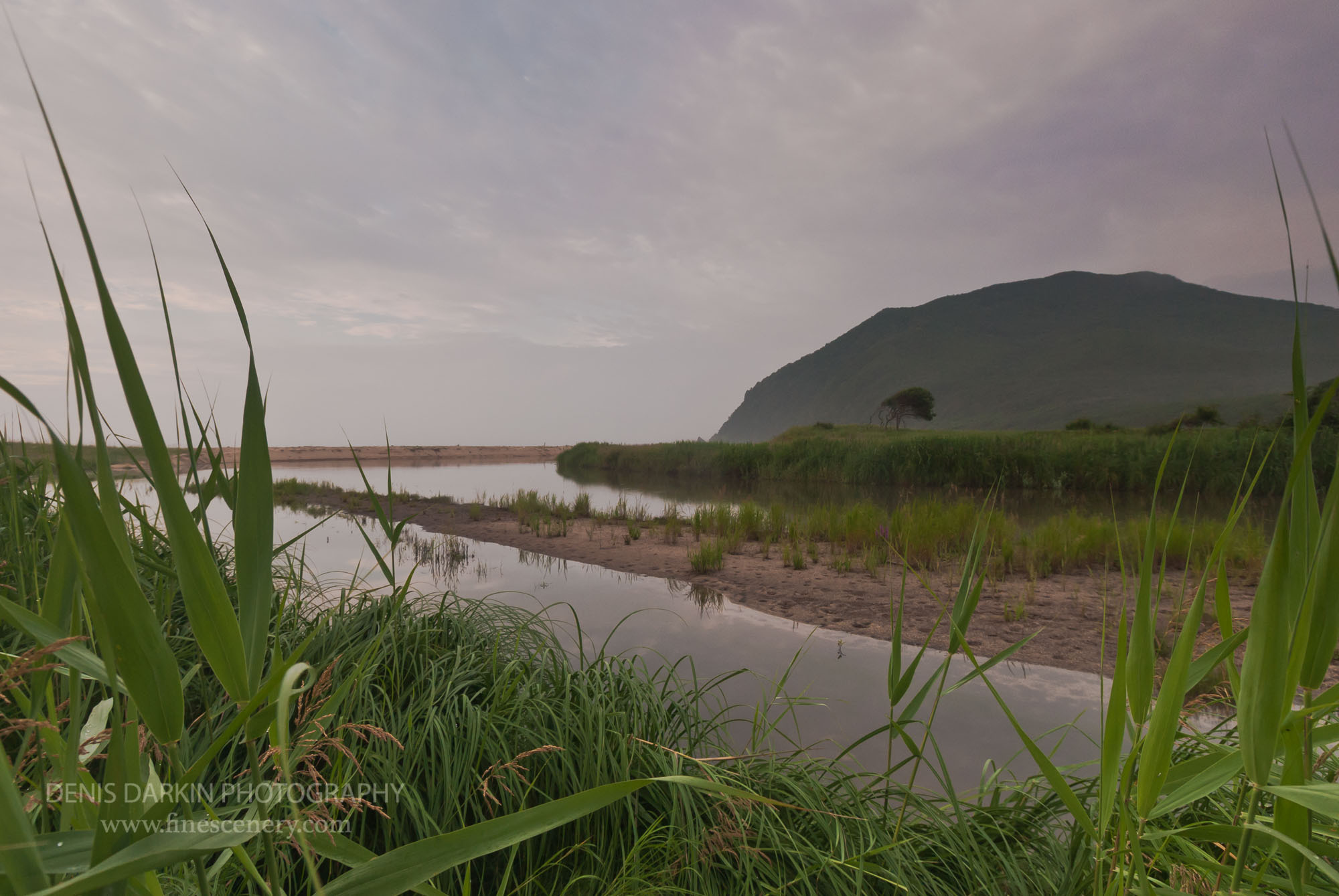 Lazovsky State Reserve, Russia. Denis Darkin scenic photography