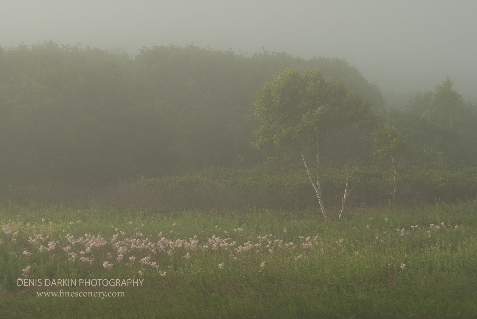 Seasons. Denis Darkin scenic photography