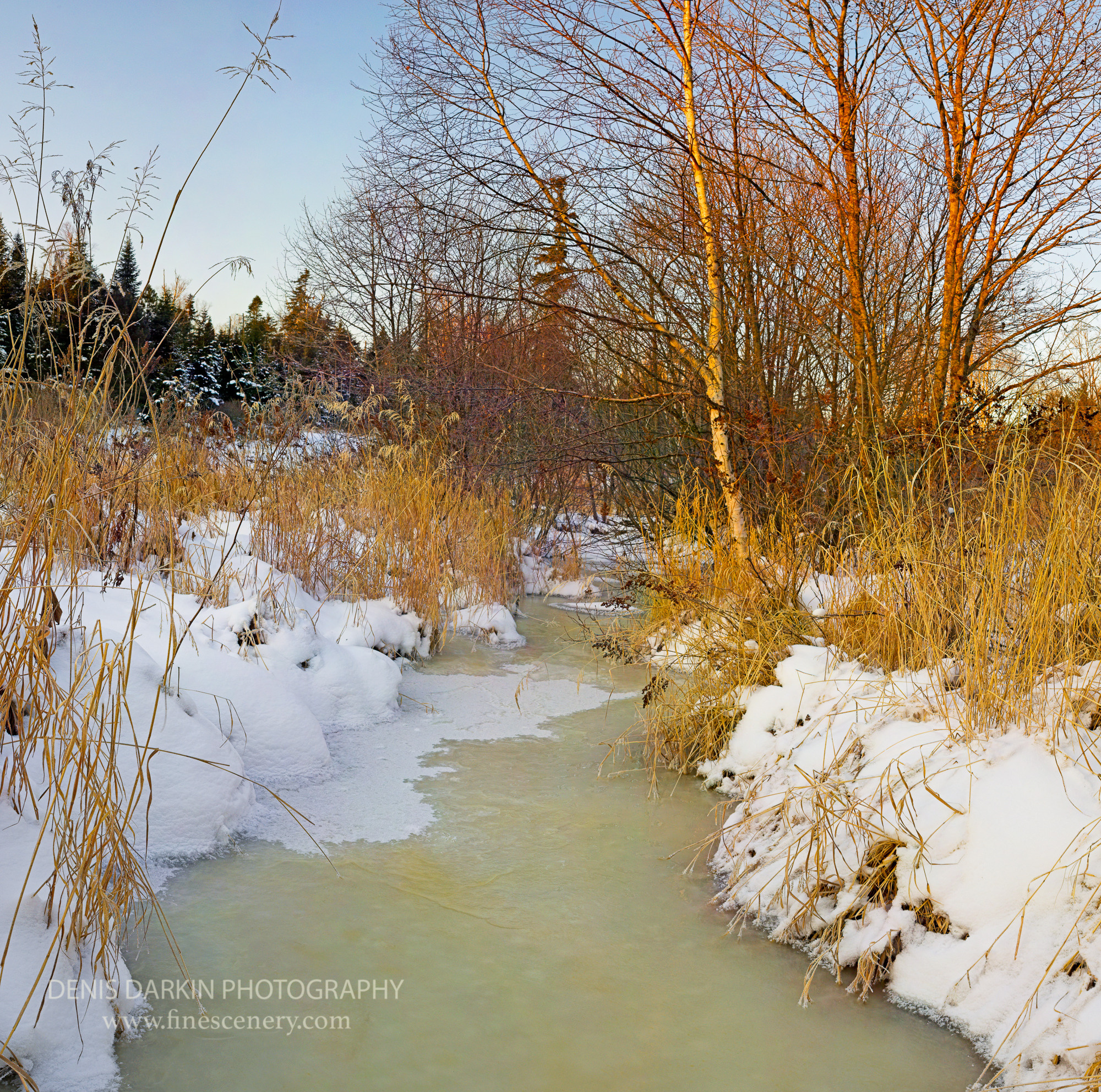 Denis Darkin scenic photography