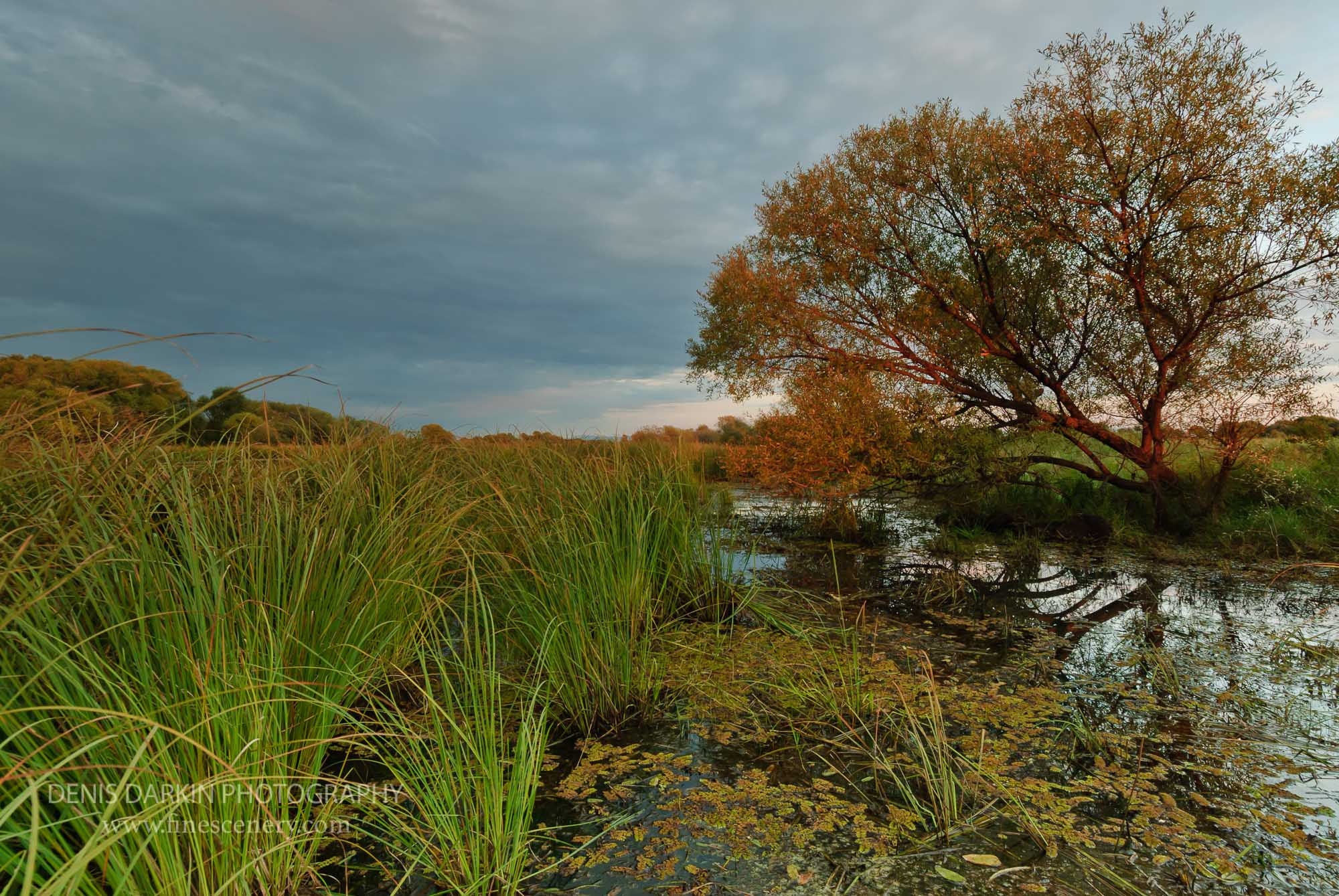 Rivers. Denis Darkin scenic photography