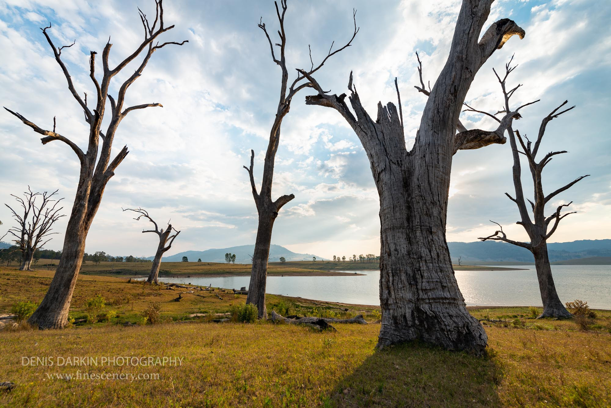 Abstracts and closeups. Denis Darkin scenic photography