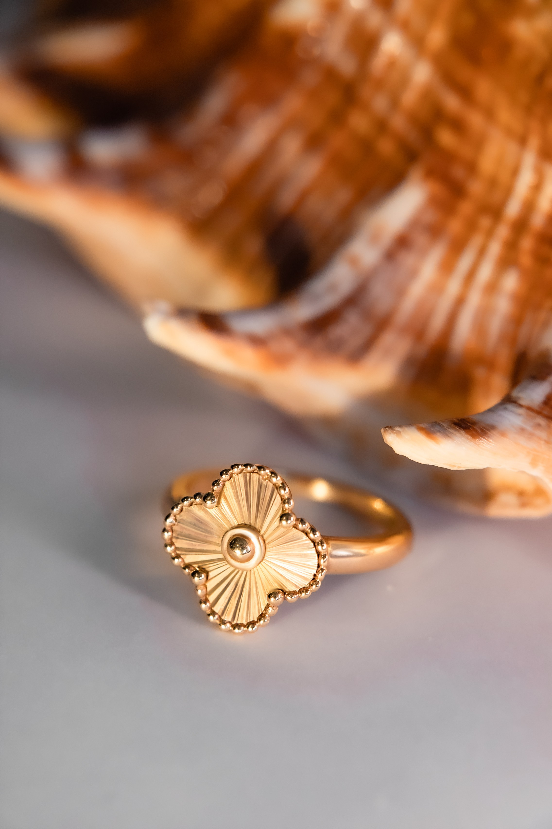 JEWELLERY. International Photographer