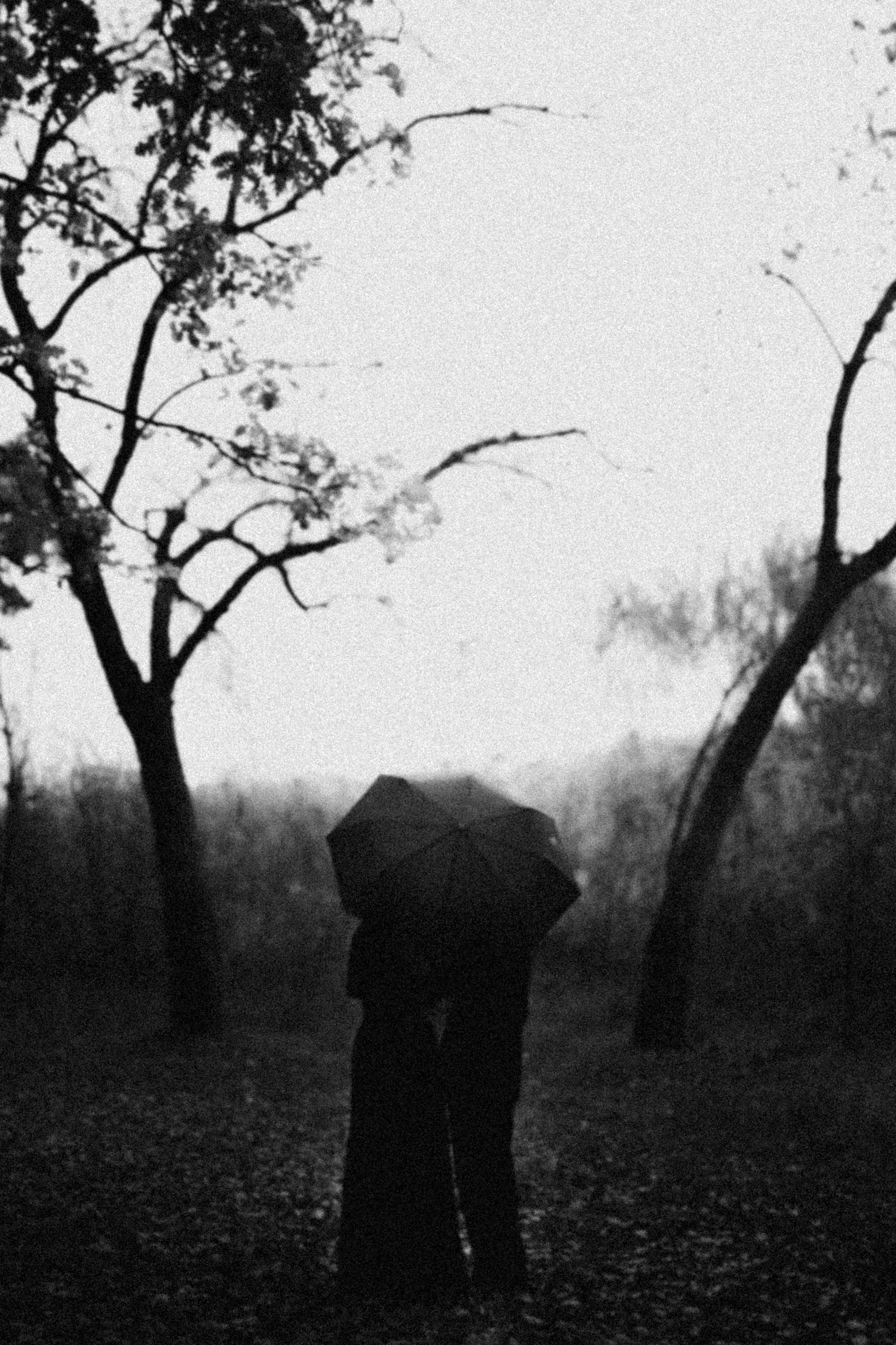 Gallery. Adrian Aioanei — Fotograf profesionist de nuntă în Iași, Suceava și București. Specializat în evenimente, portrete și fine art