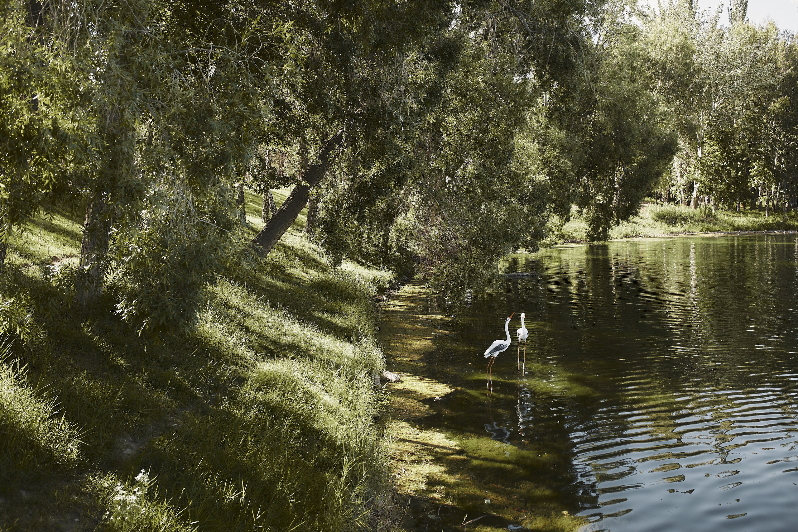 Эржан и Жаныл. Валерия Вартанова. Фотограф
