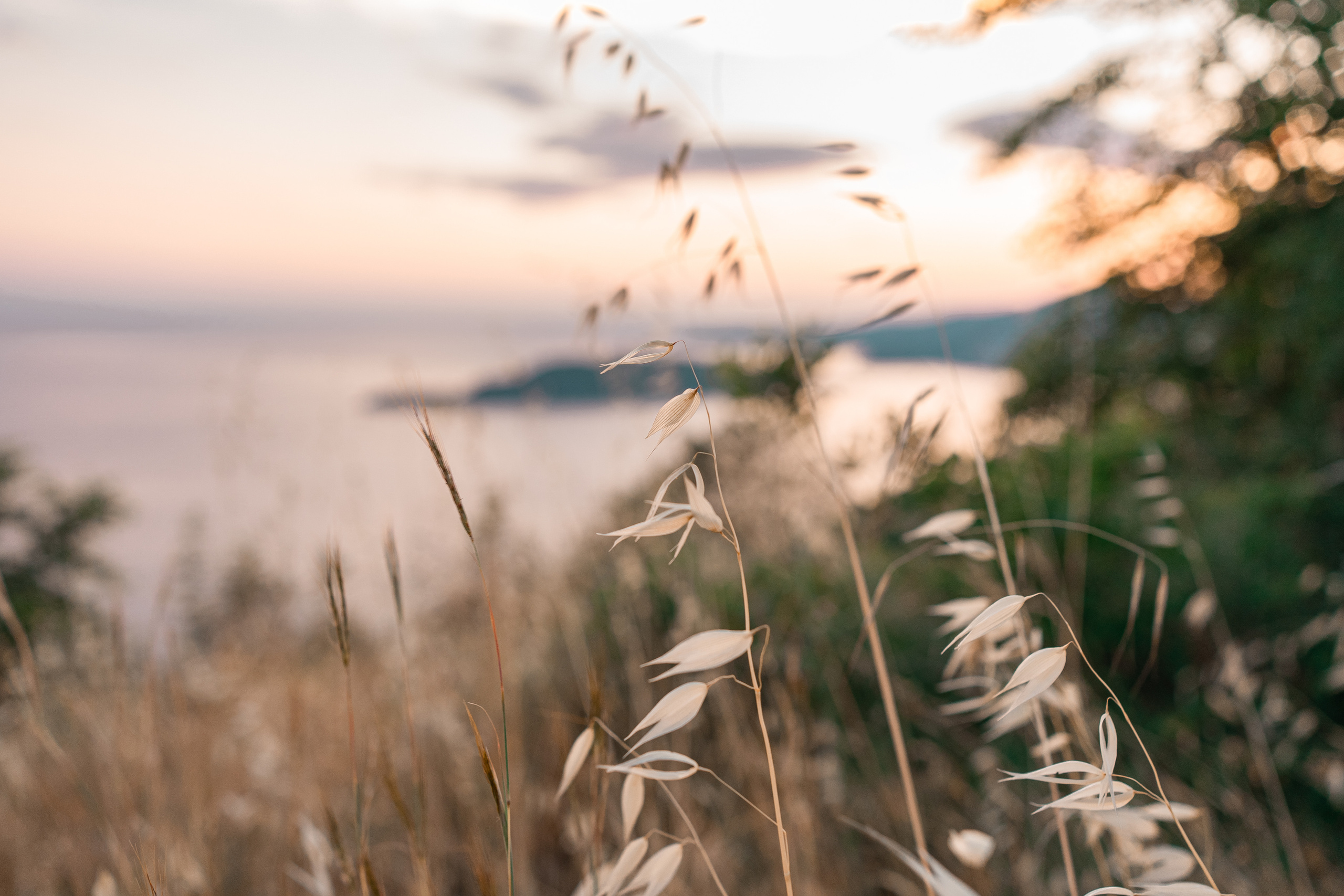 MONTENEGRO. Montenegro photographer and videographer