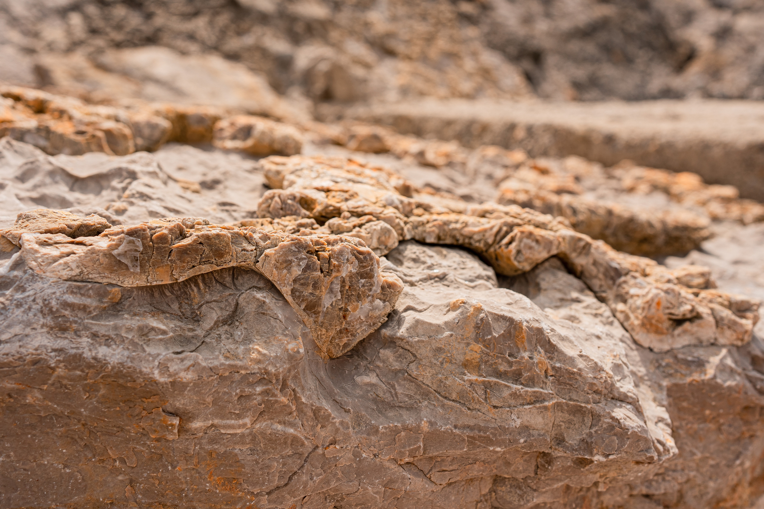 MONTENEGRO. Montenegro photographer and videographer