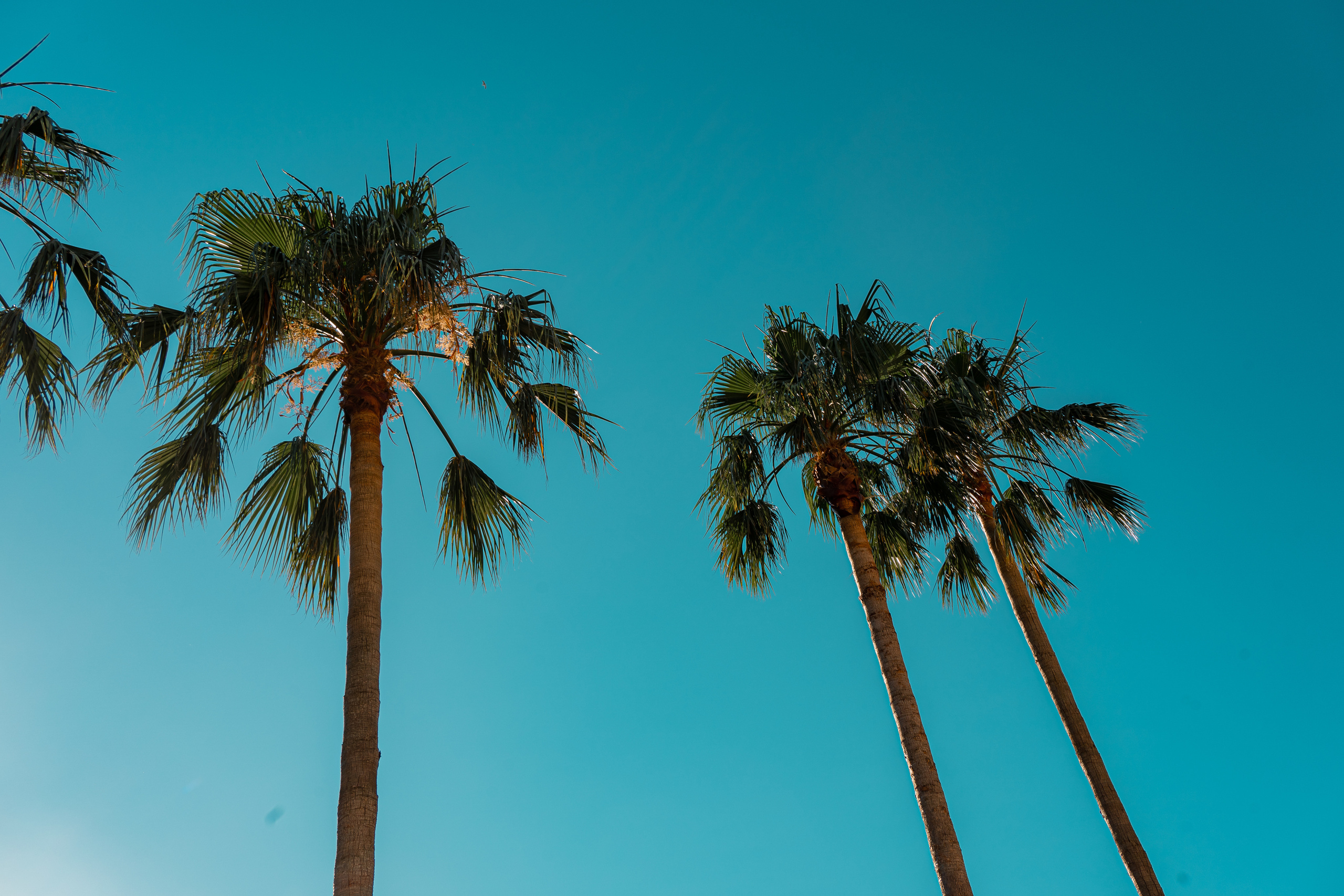 MONTENEGRO. Montenegro photographer and videographer