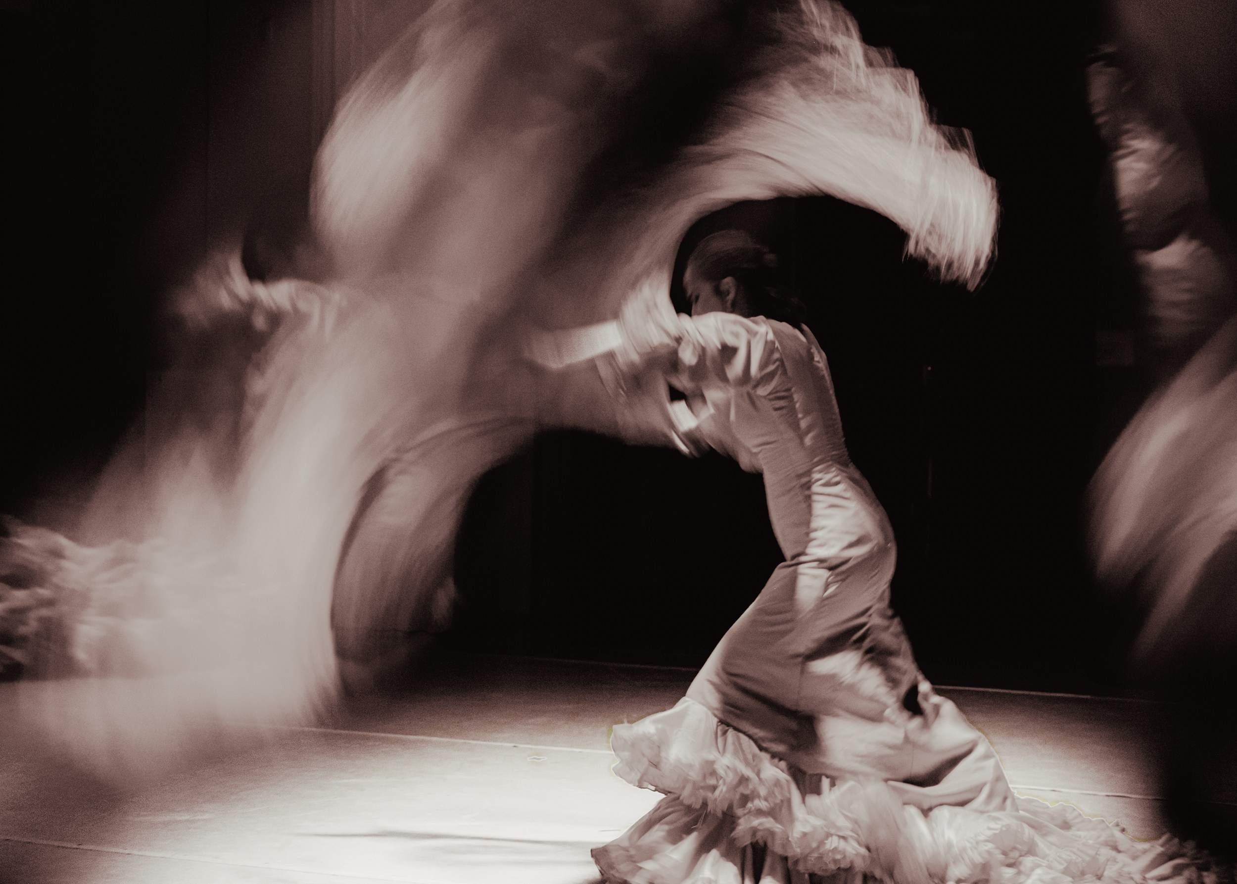 Flamenco spots. Ekaterina Tsurkina-Appina Photography Canada