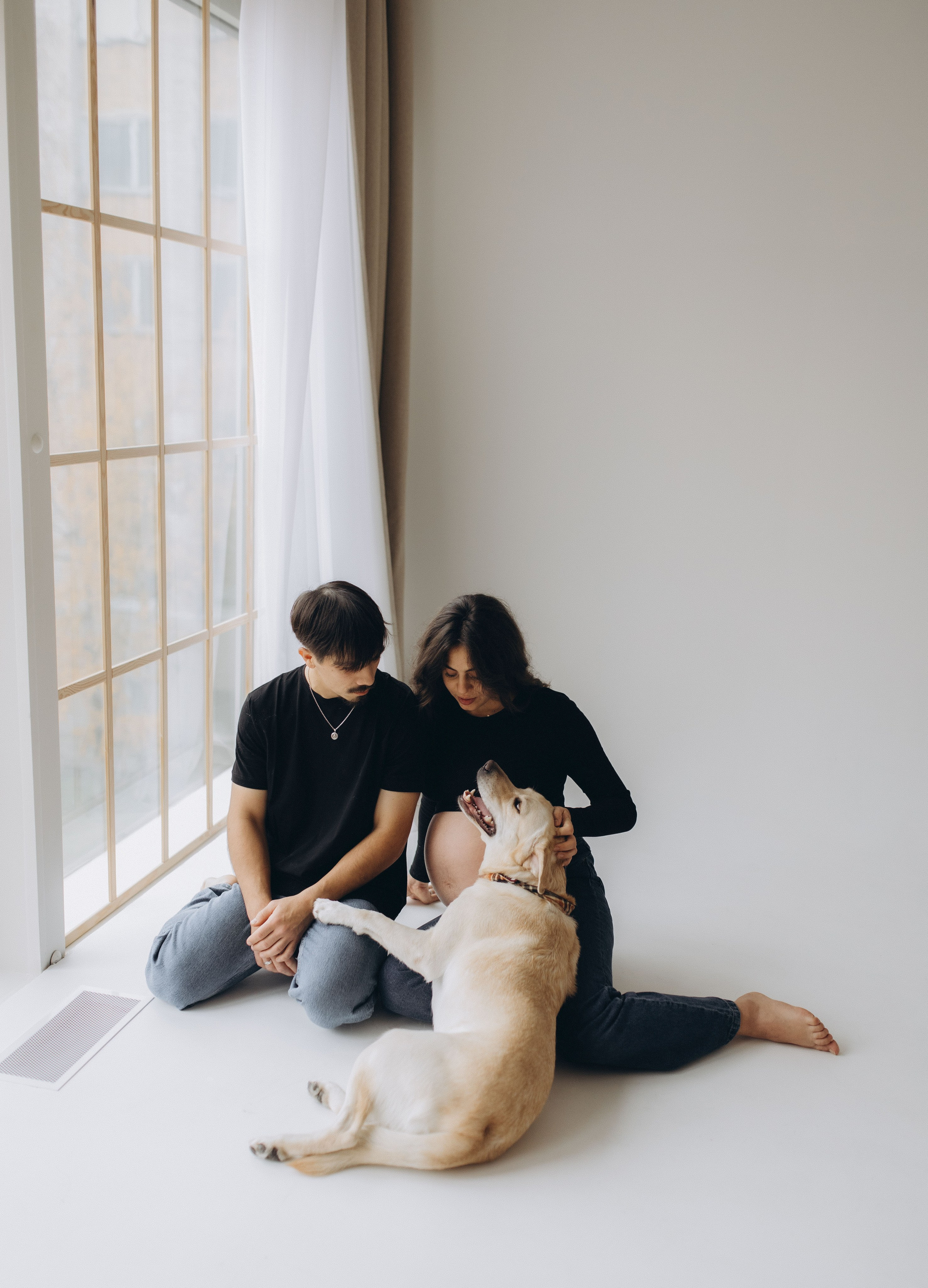 Pregnant Story. Main