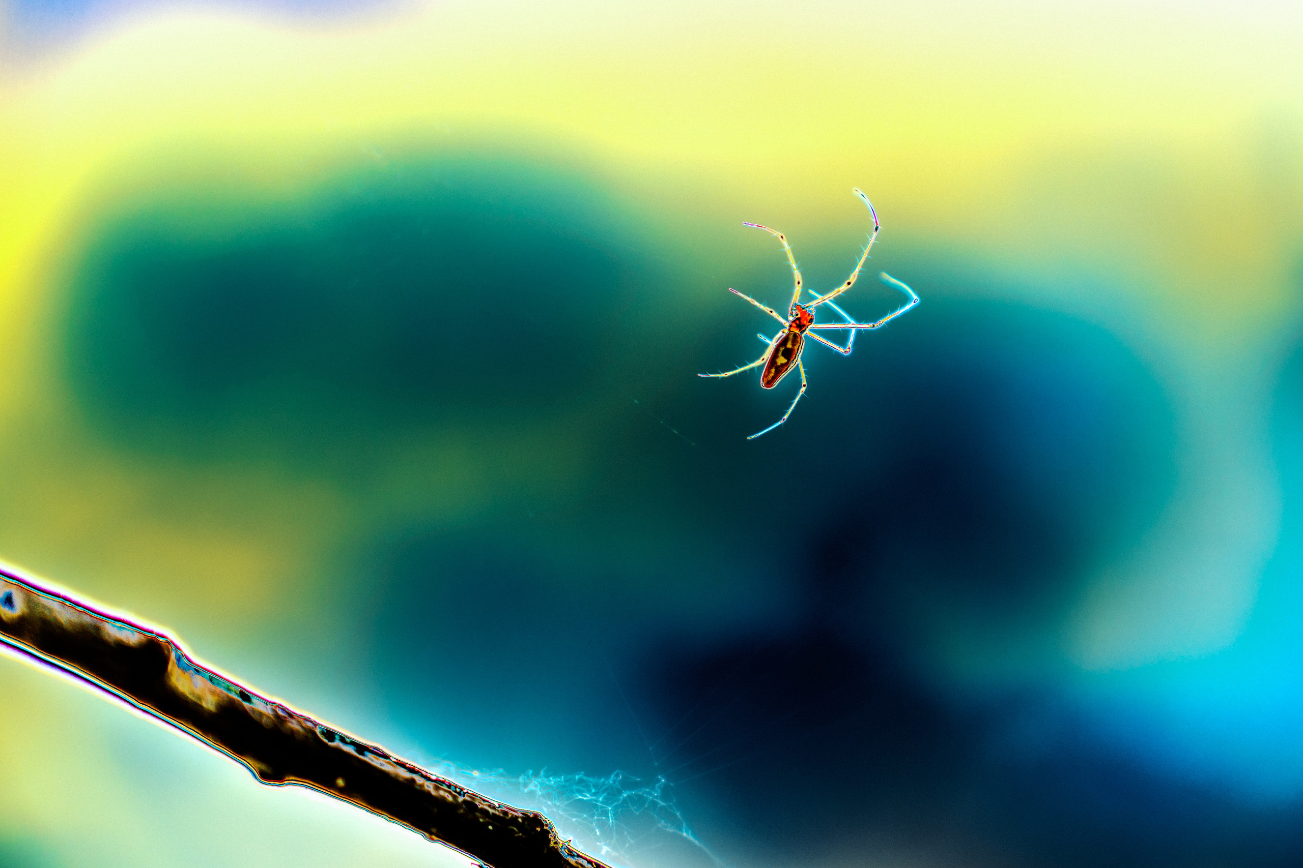 ART. Alexandru Raileanu