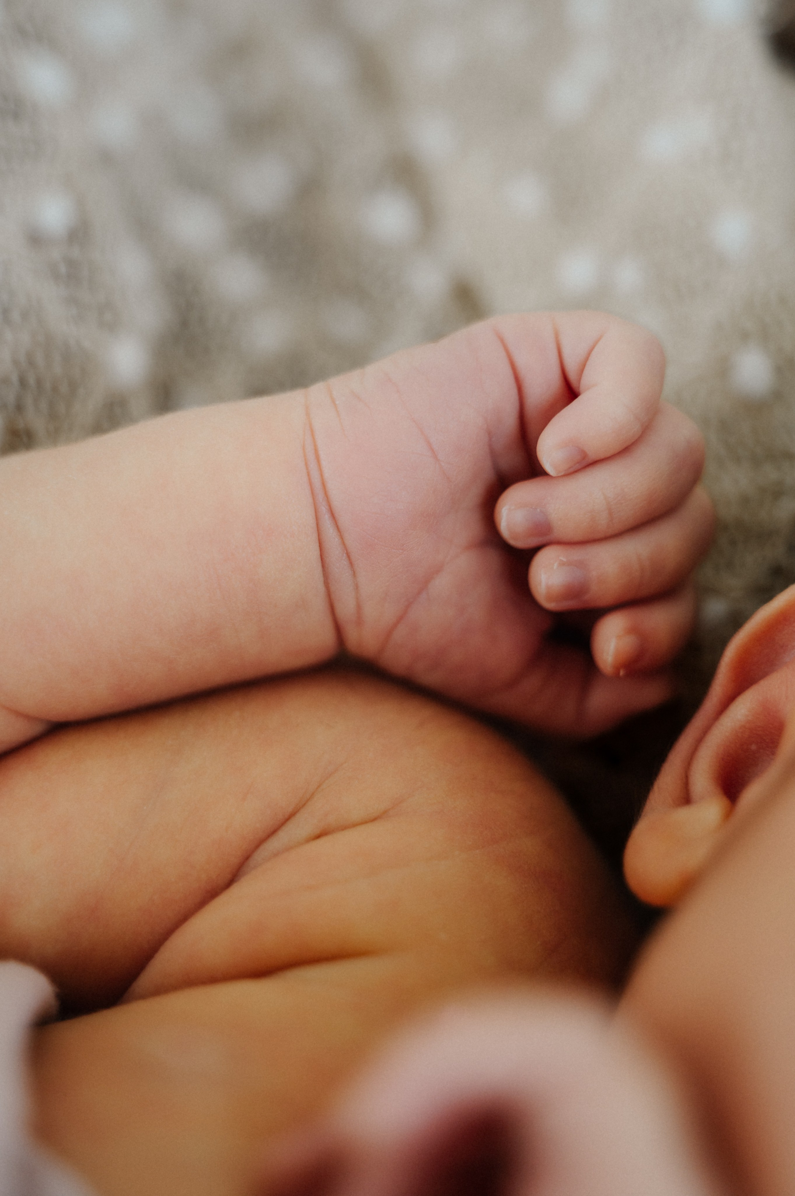 Newborn. Anastasia Kurbanov Photography