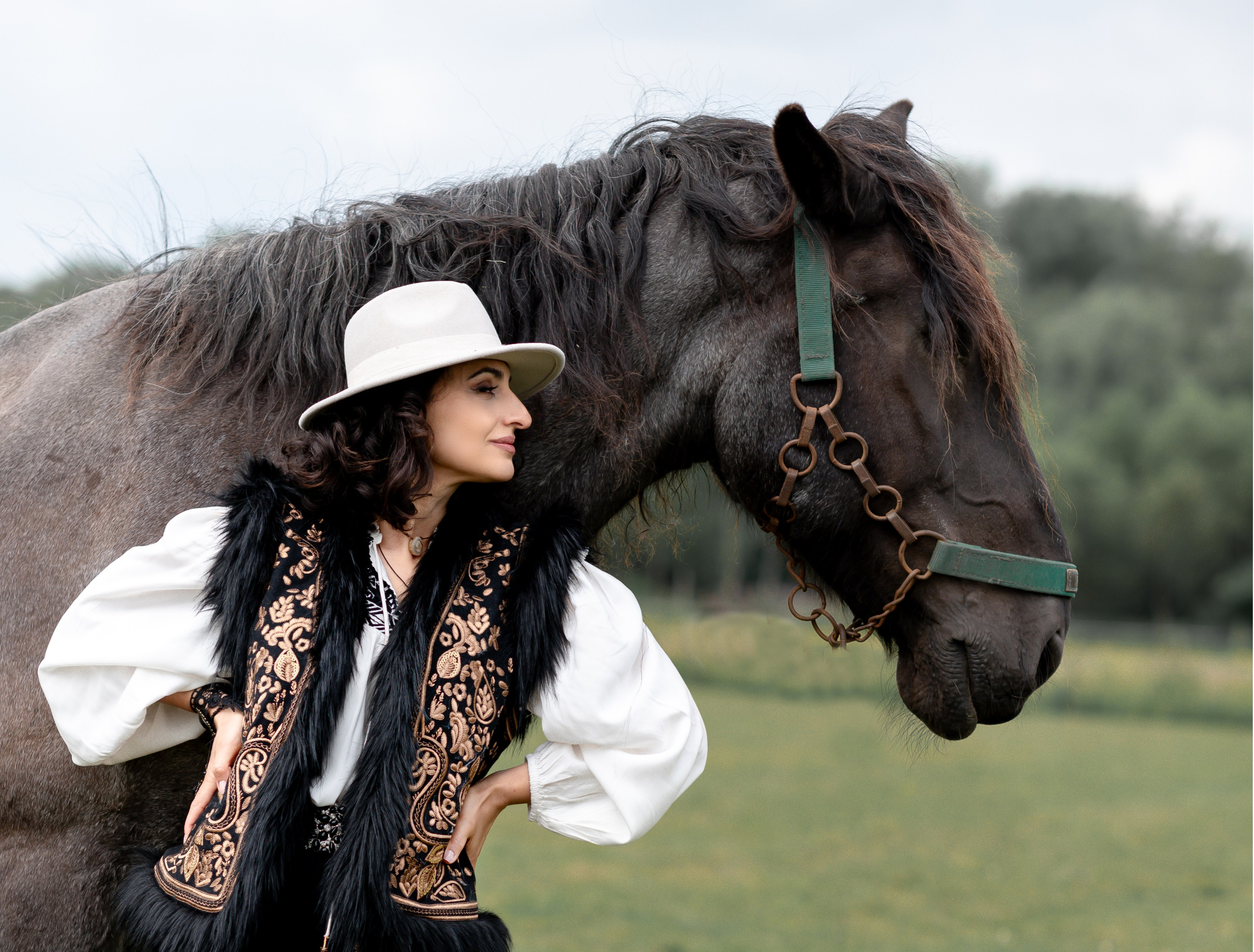 Photoshoot with Horses. Professional Photograher, Antwerpen/Belgium