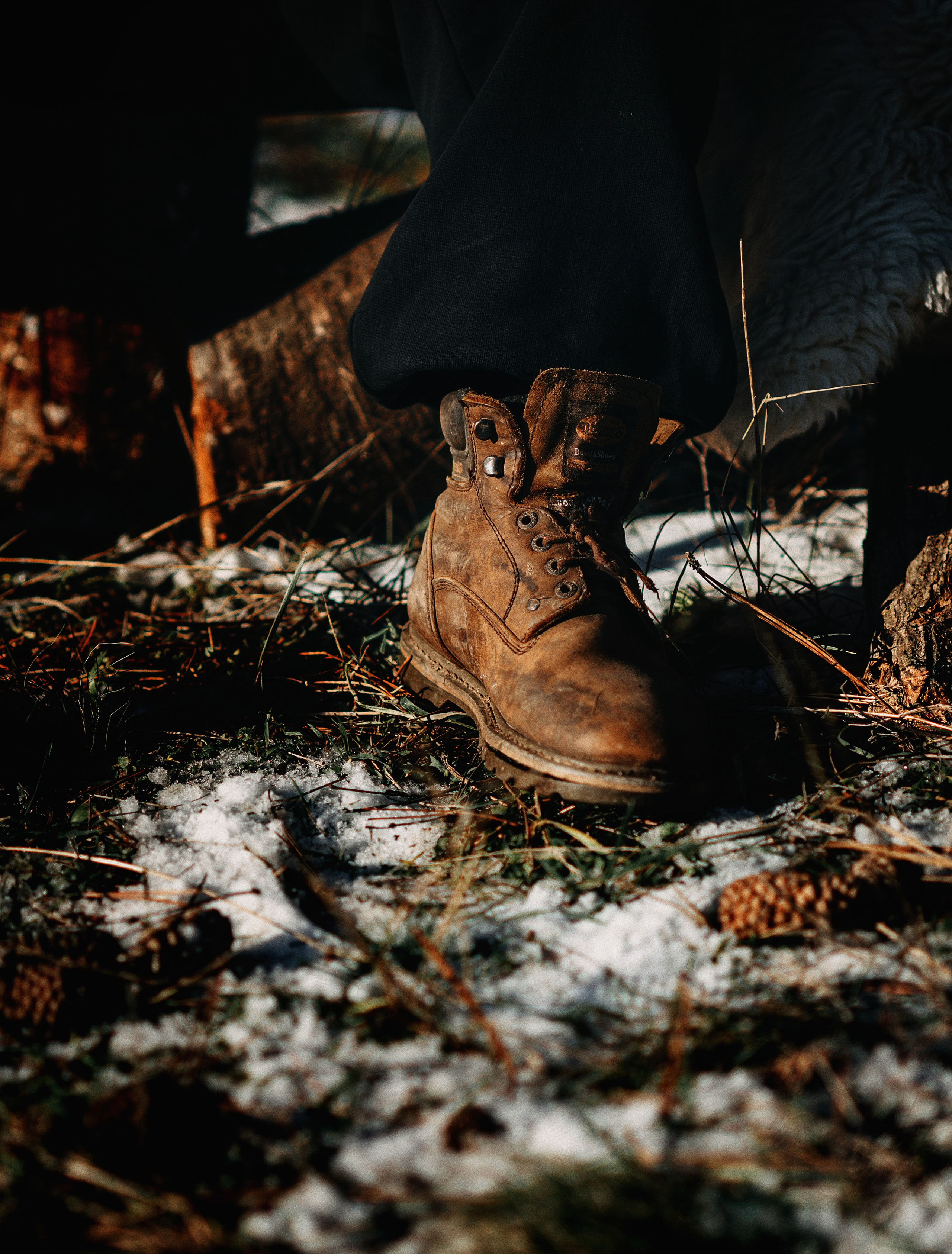 KAZANJI. Wedding photographer from Moldova Alexey Chipchiu