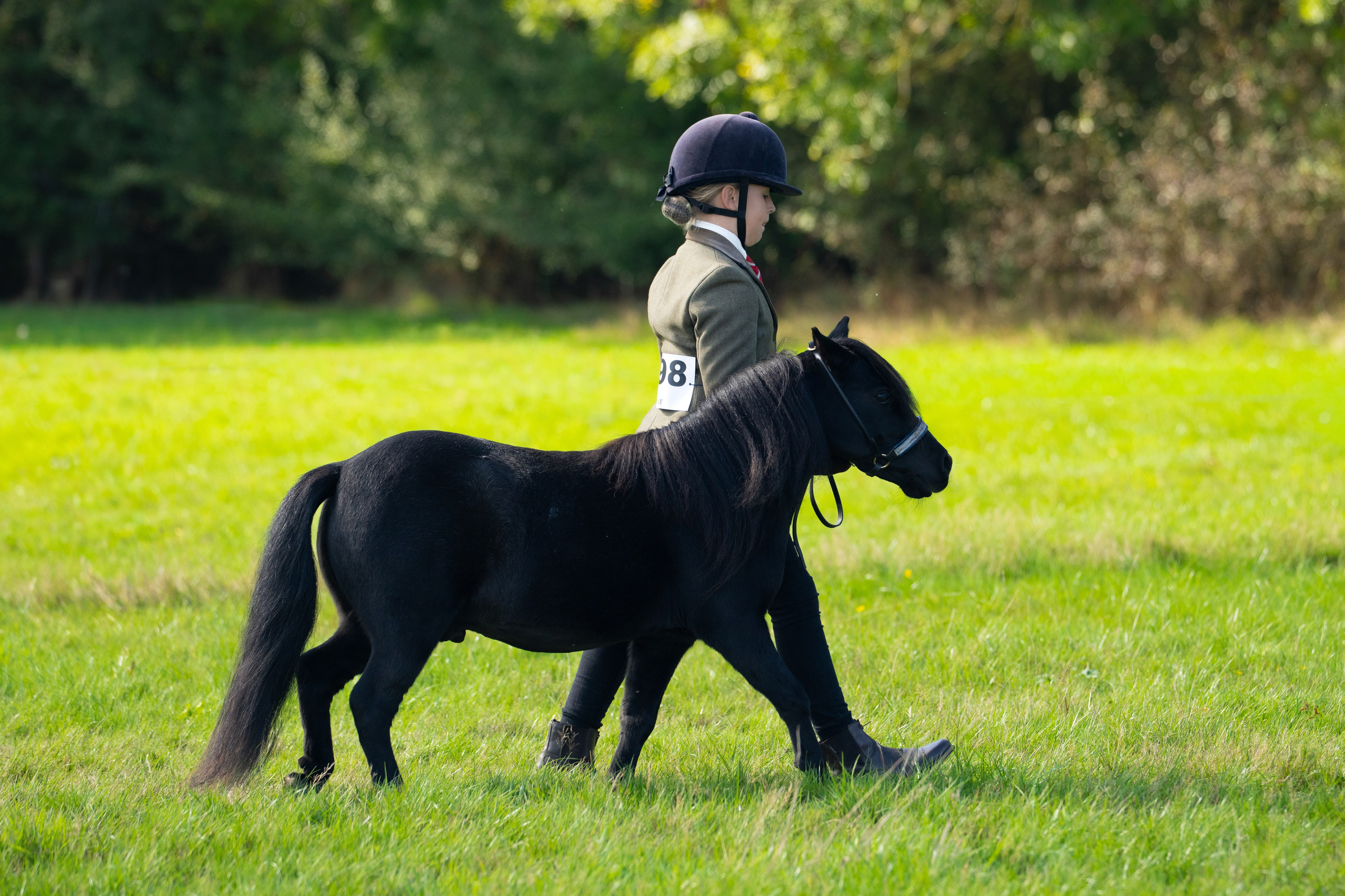 Showing. Leicestershire Equine Photography by El | Authentic Equine Portraits & Events