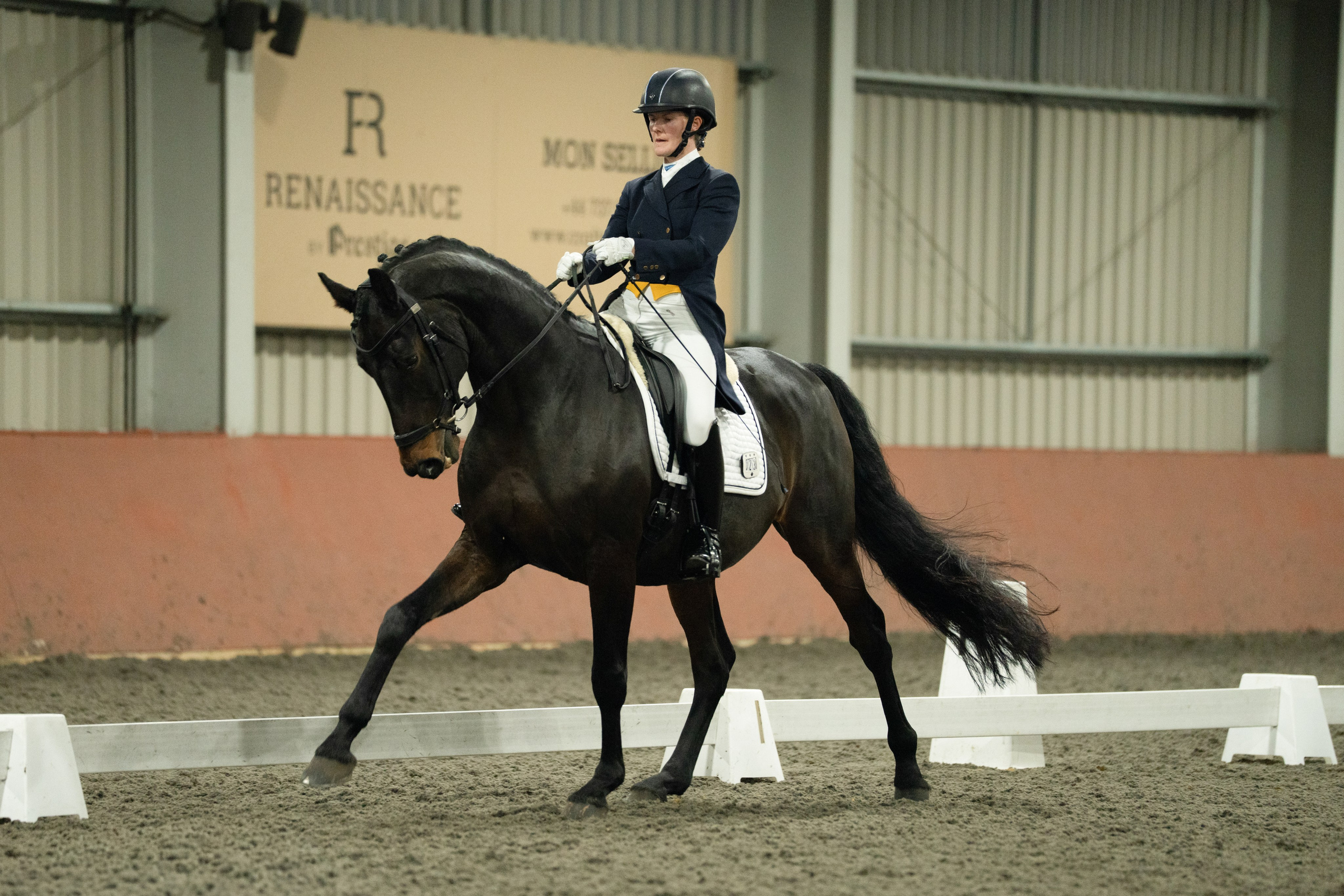 Dressage. Leicestershire Equine Photography by El | Authentic Equine Portraits & Events