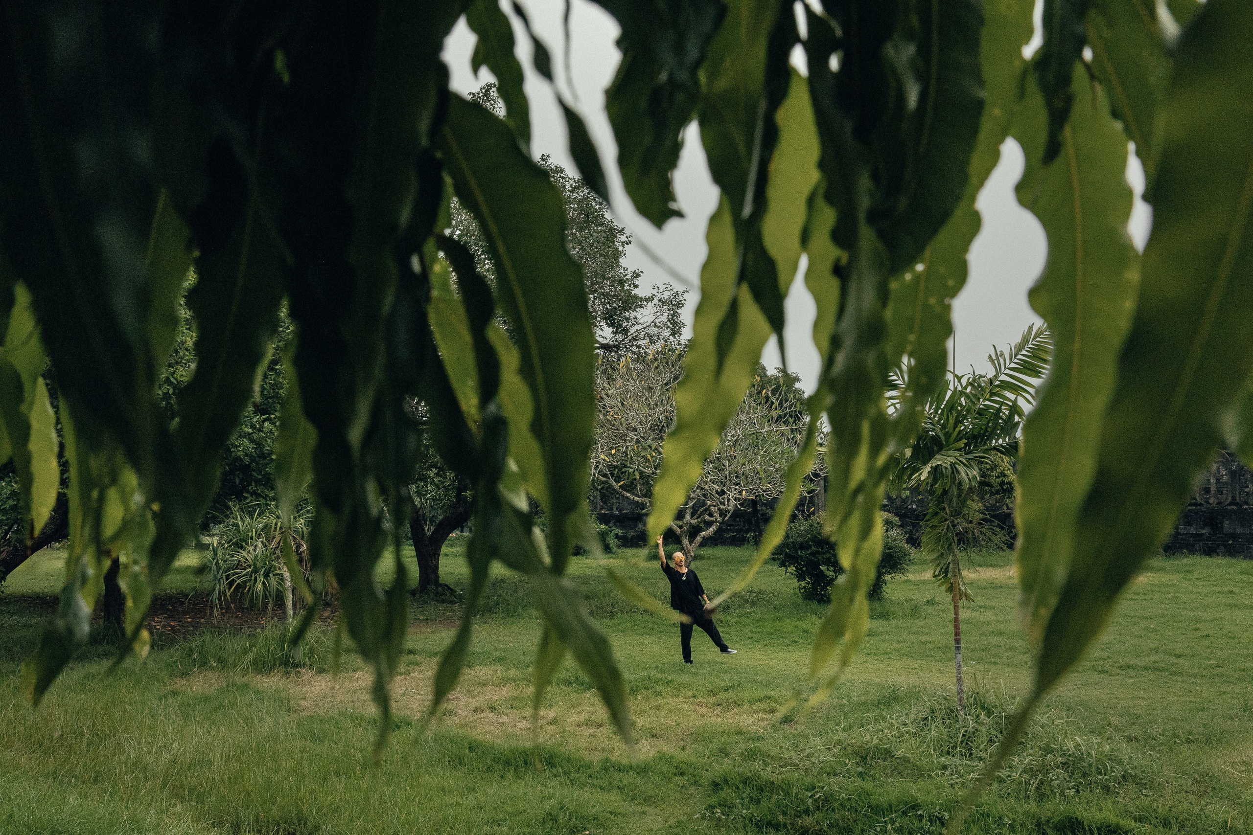 MR CAT. Профессиональный фотограф Нурмиева Вероника