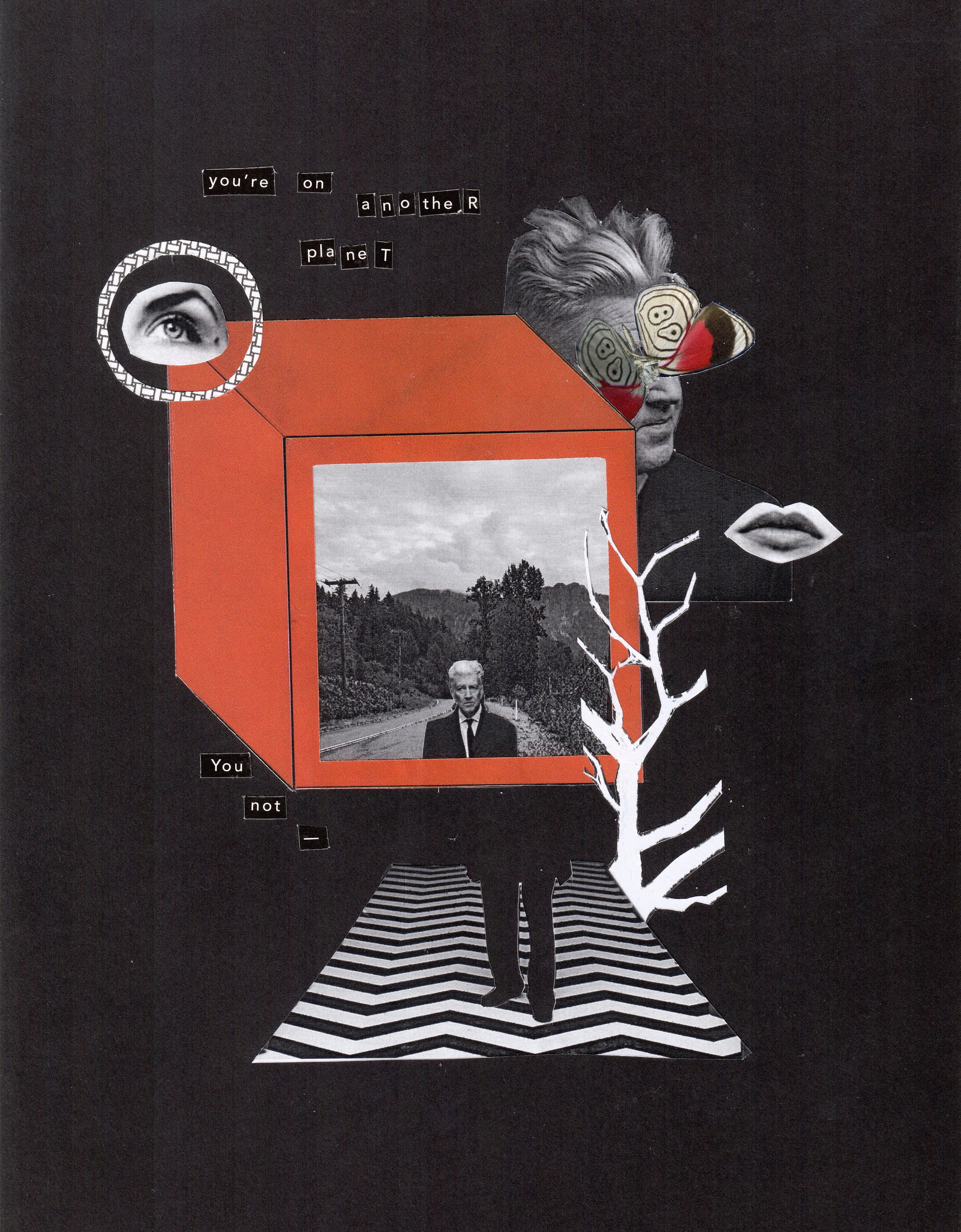 COLLAGES / MIXED MEDIA. Mixed media artist, photographer, visual artist New York