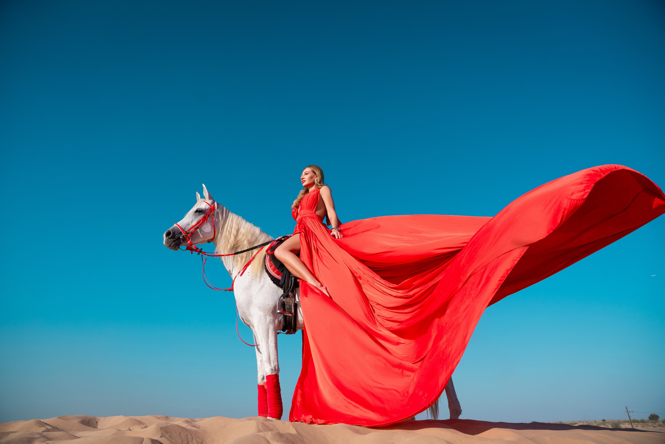 With horses and camels. Photographer and videographer in Dubai Dmitry Gromov