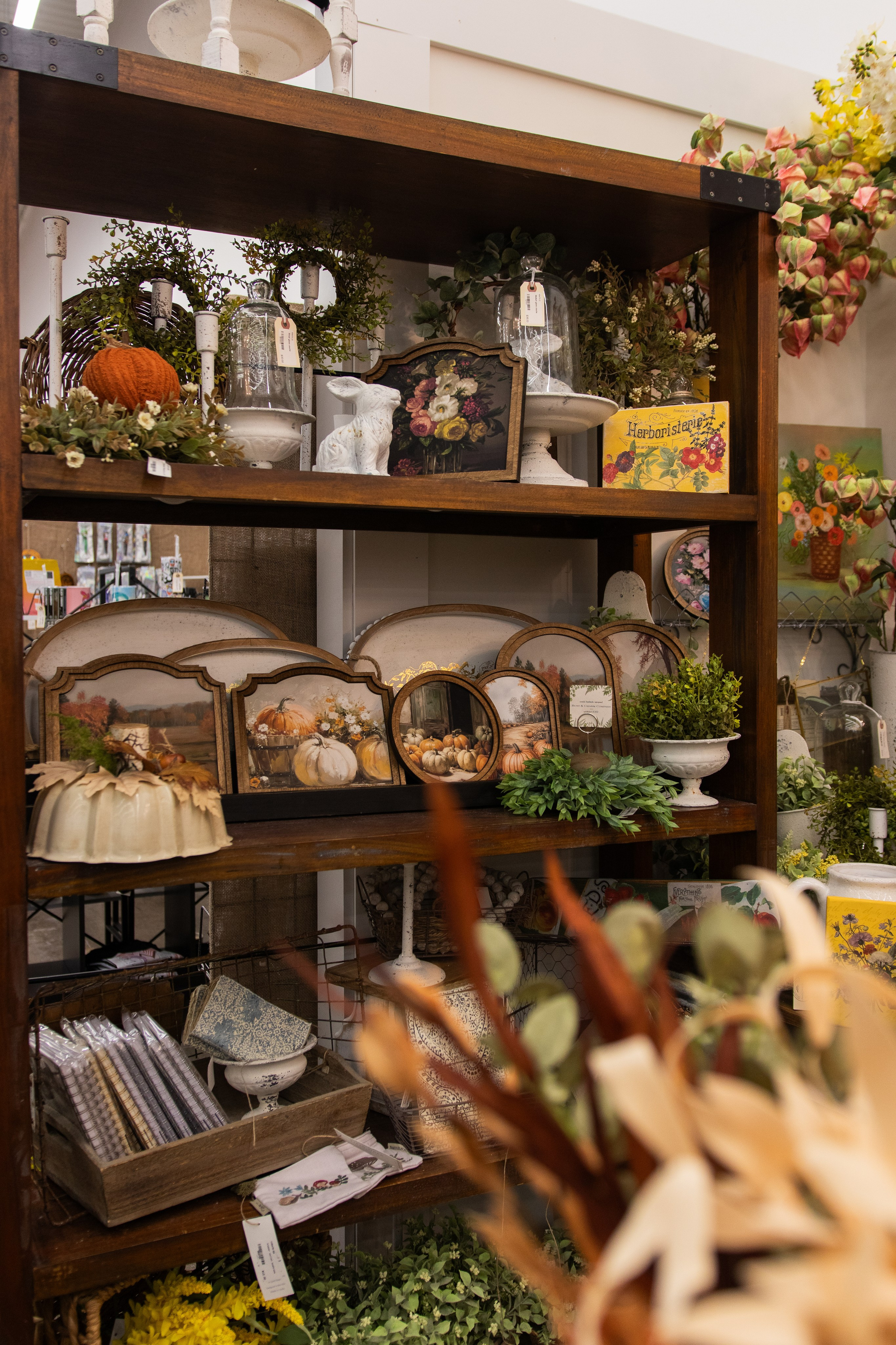 Painted Tree Boutiques fall collection retail photoshoot in Round Rock