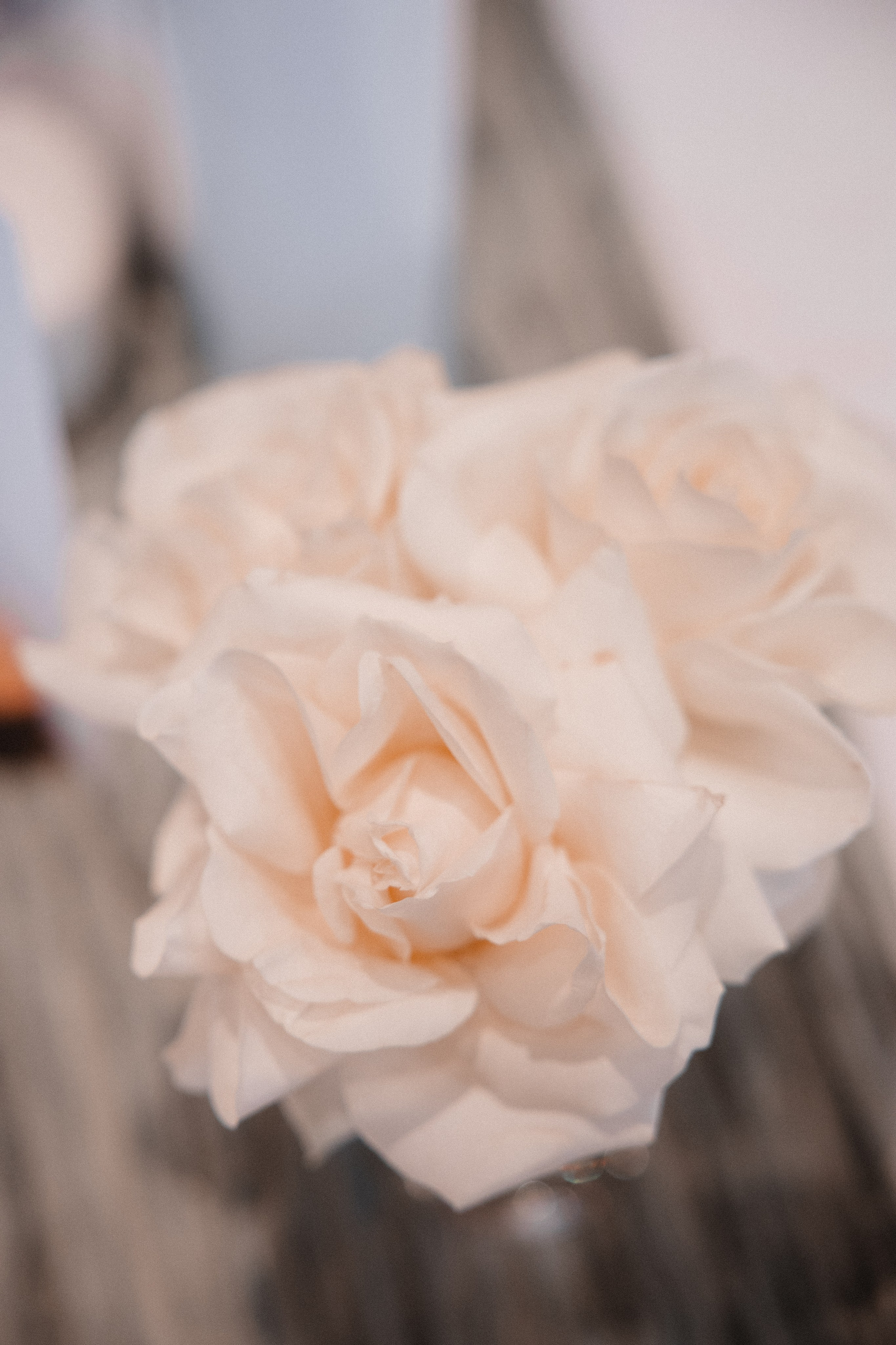 Lena & Philip | Schloss Bladenhorst, Castrop-Rauxel. Hochzeitsfotografin Bochum | Halyna Reiche Fotografie NRW