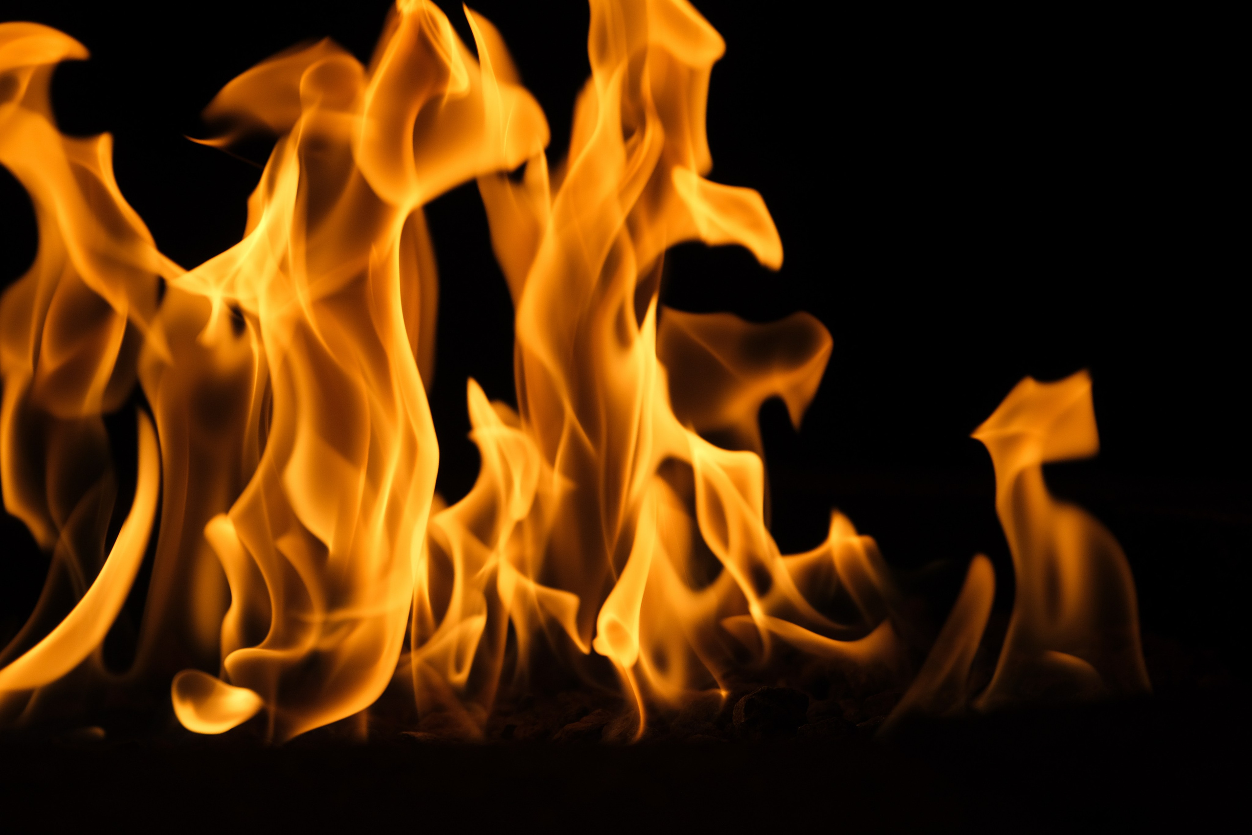 VATRA. Reportage concert portrait photography in the San Francisco Bay Area