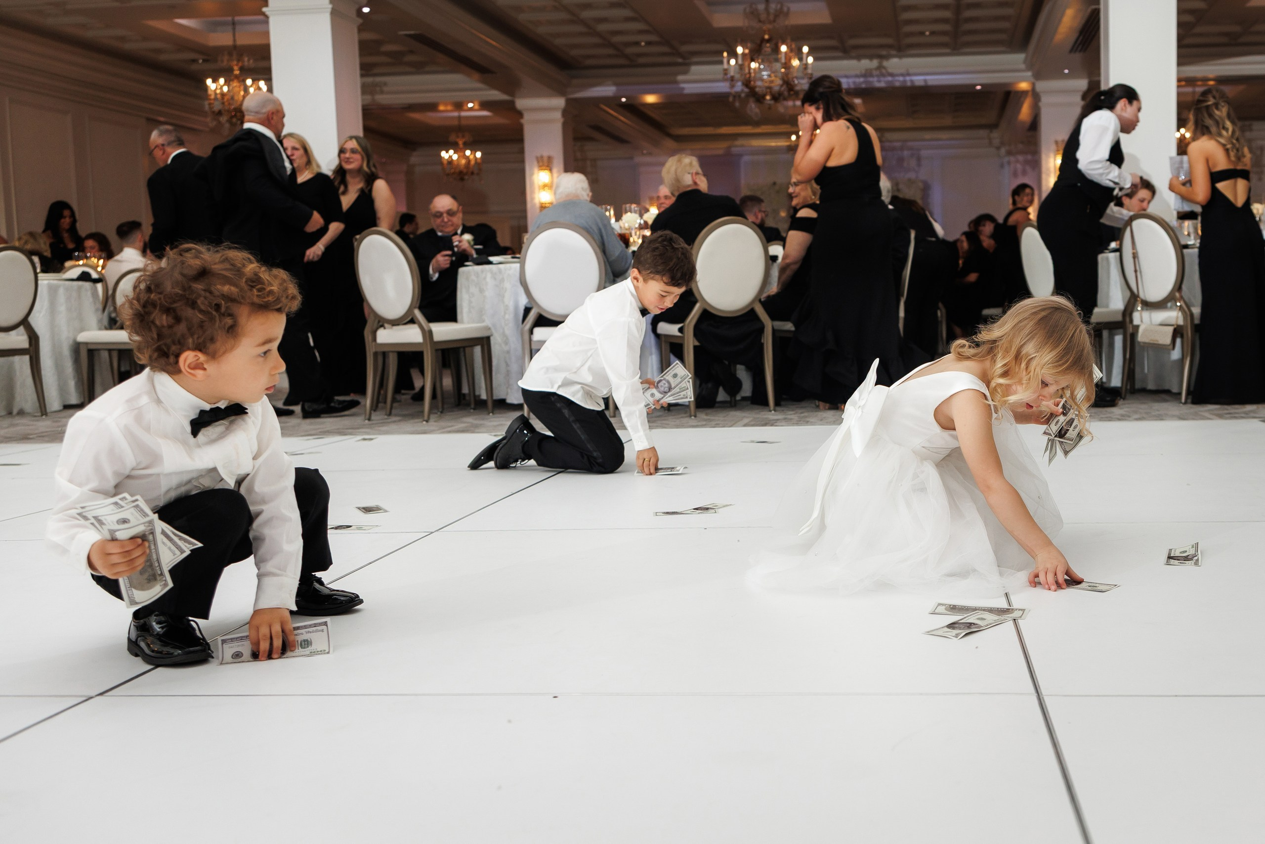Brianna & Alec, The Palace at Somerset Park, NL. Wedding Photo & Video