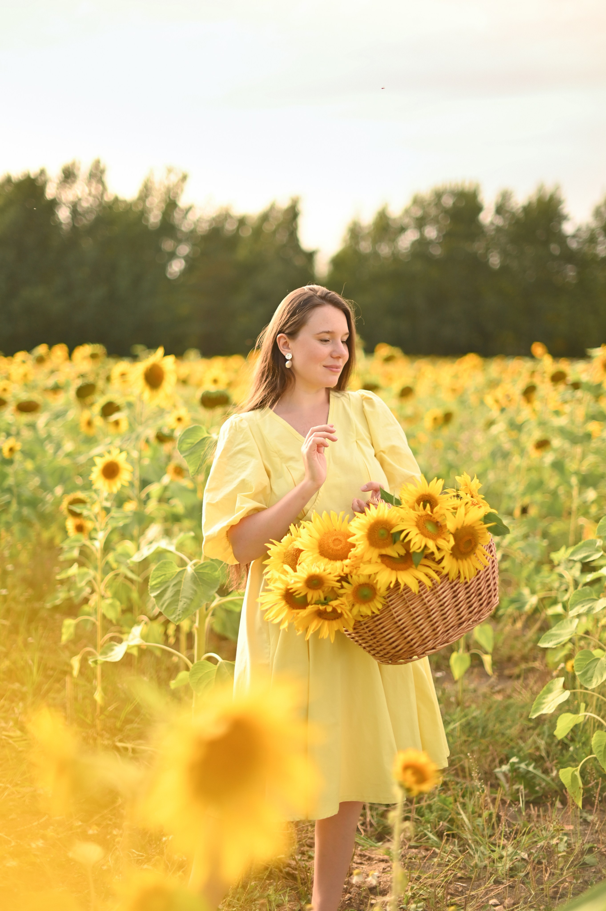 Подсолнухи. Детский и семейный фотограф в финляндии дина пулкка. контент фотограф