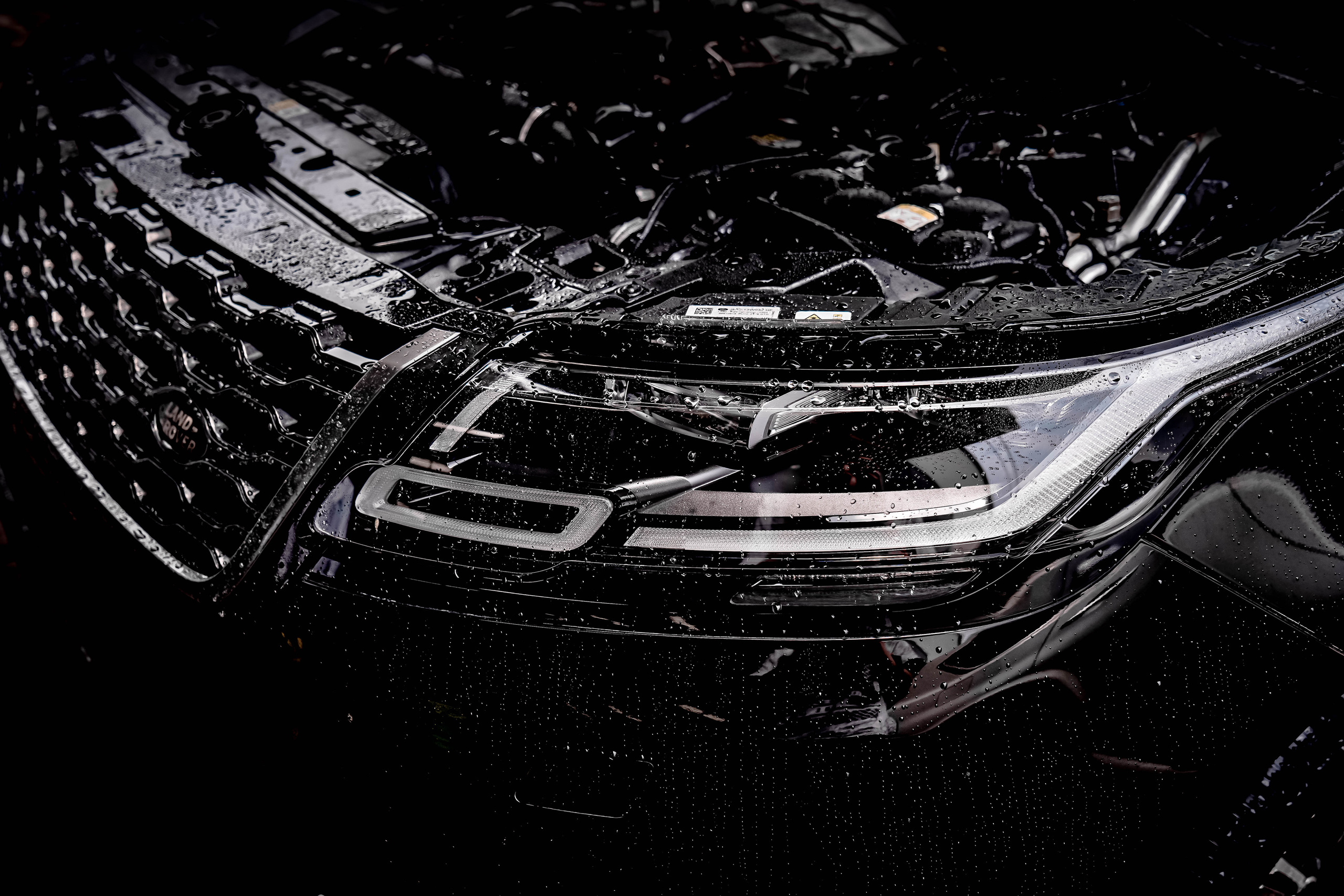 Range Rover. Baby Beast