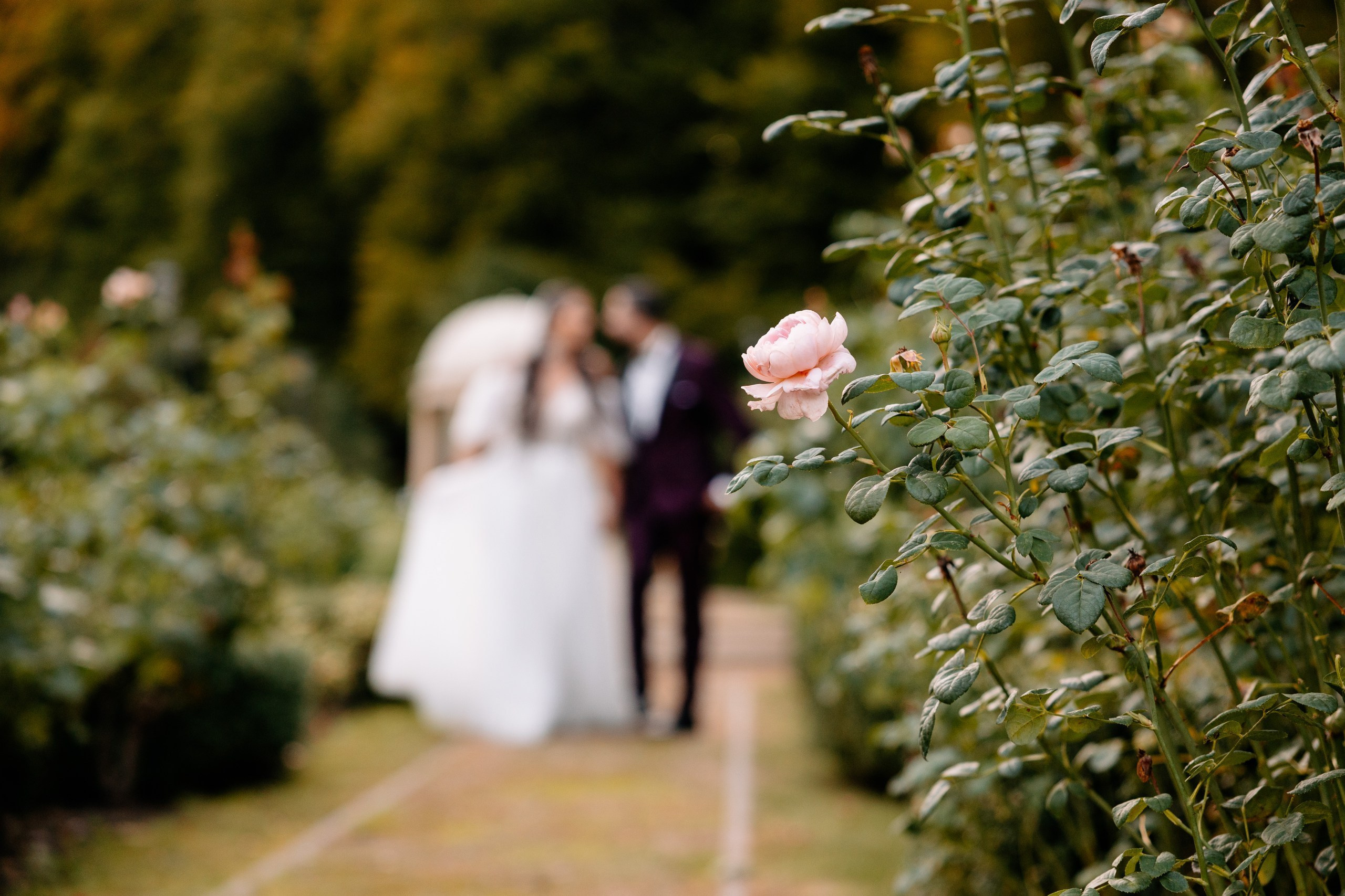 Marta ♡ Piotr. Fotograf Ślubny Warszawa - Sesje Biznesowe Rodzinne Eventy