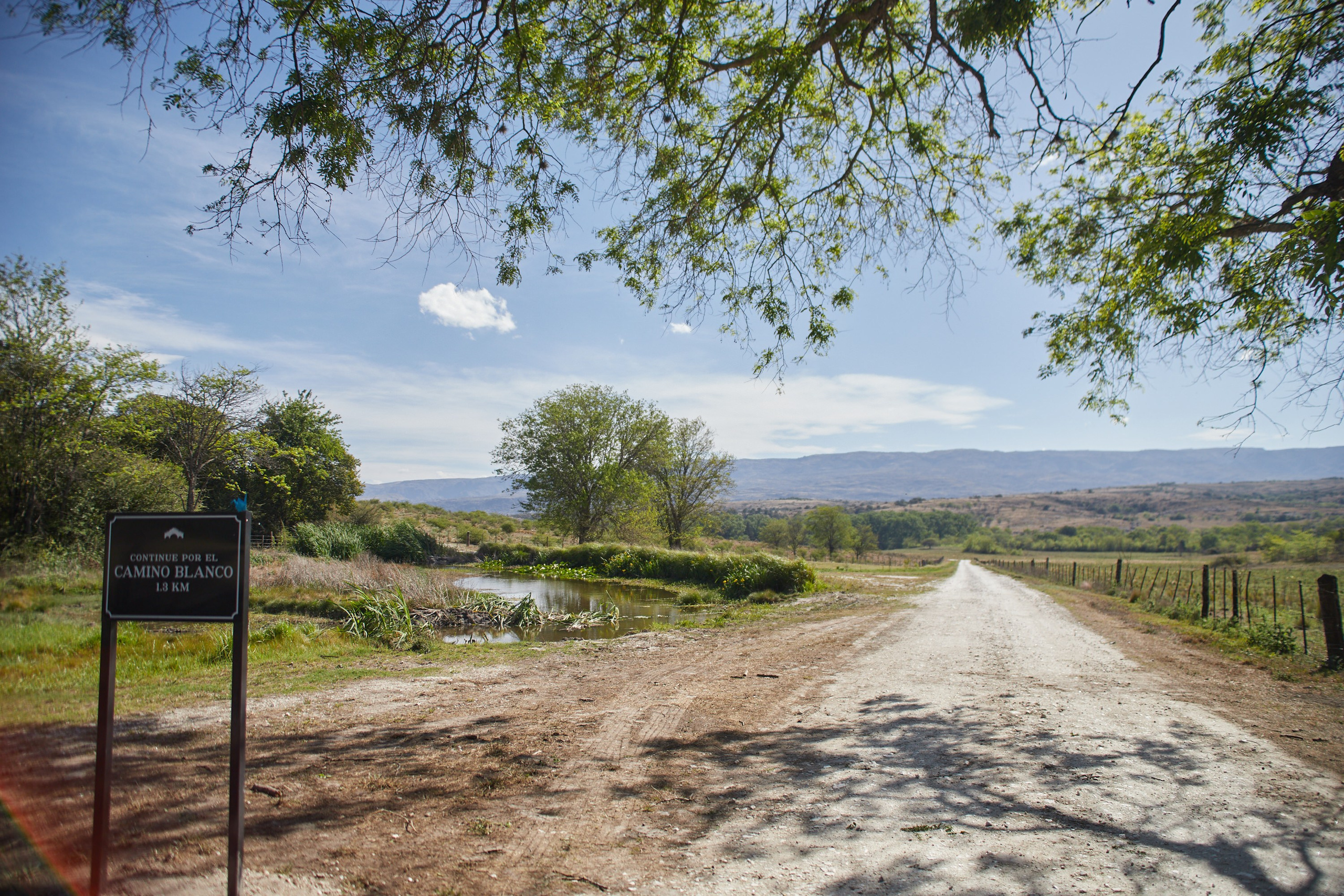 Mati & Martín. Marcos Ferrari Fotógrafo