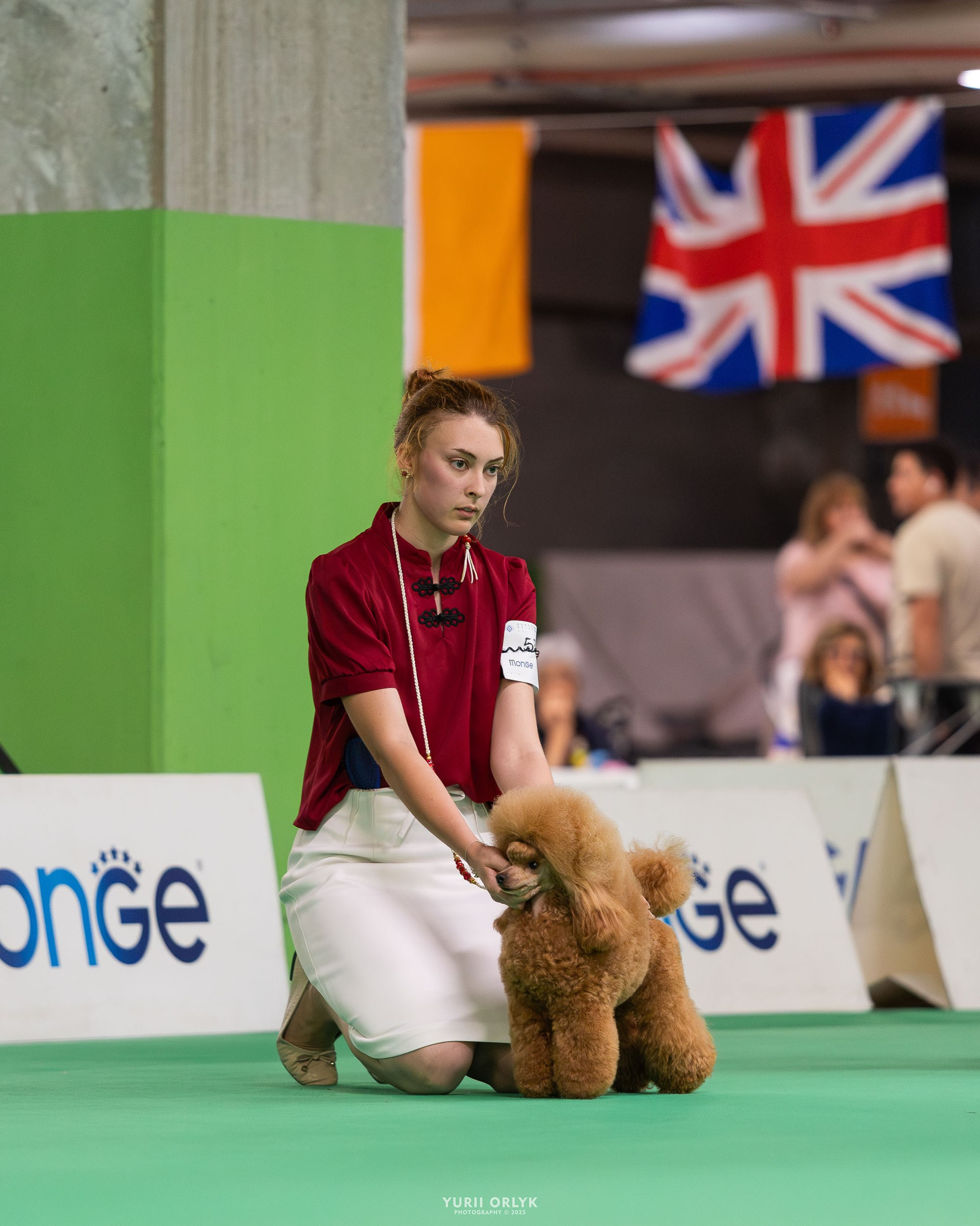 Dog Shows. Yurii Orlyk Photography