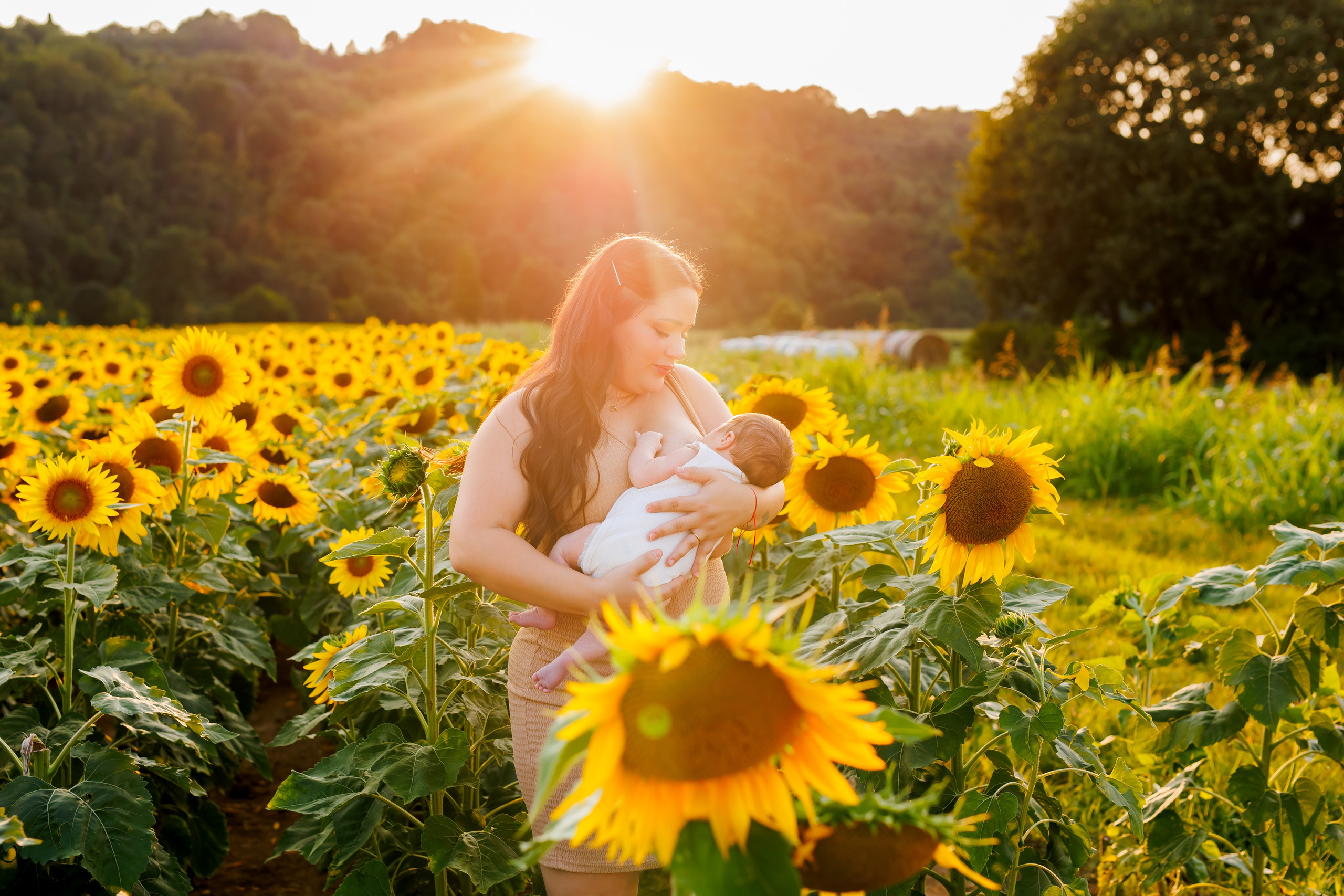 Un’estate tra i 🌻 girasoli- 2026. Luci e Capricci Photography