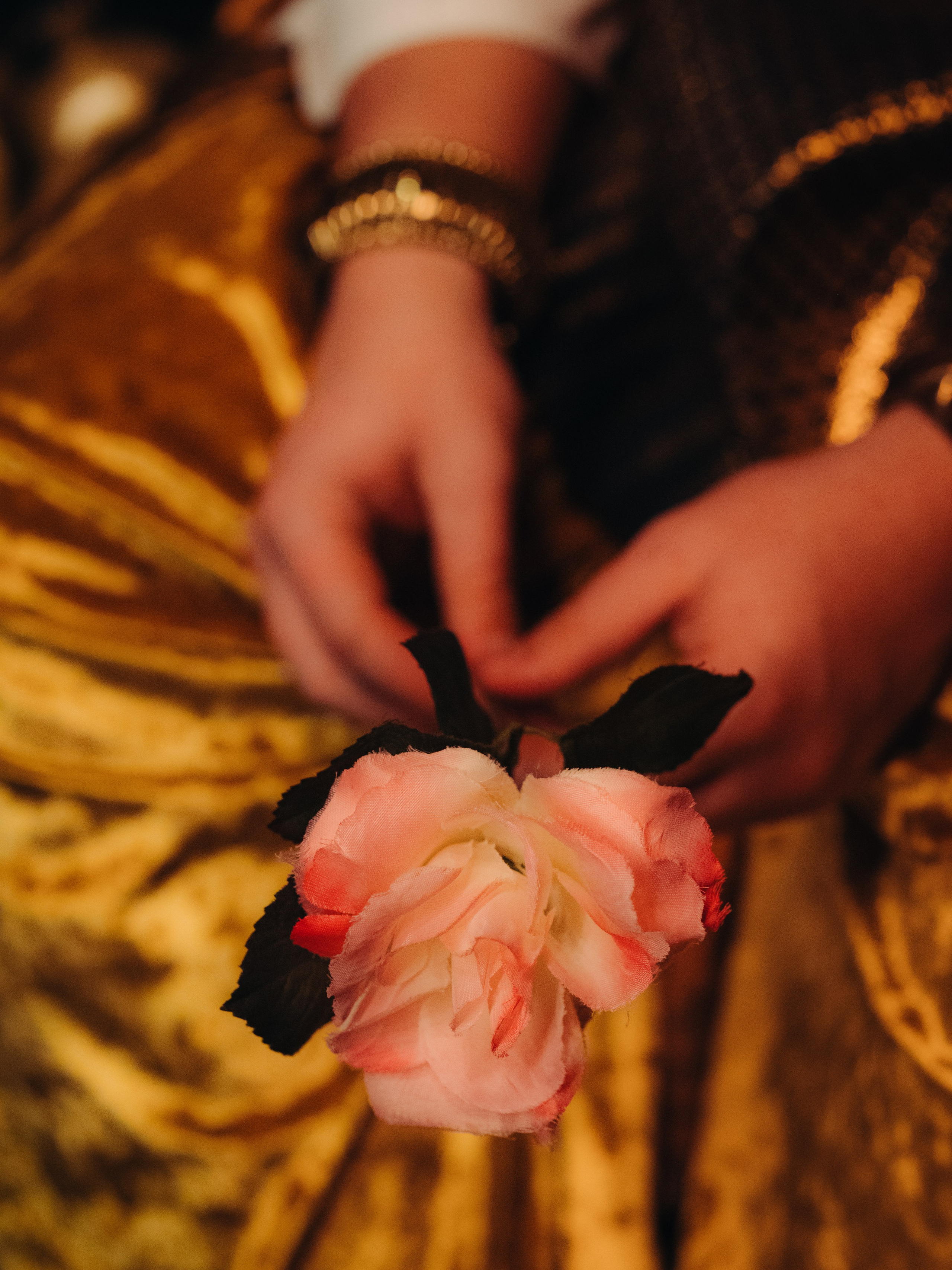 Aladdin’s Magic Lamp — Palme. Yana Bobrova | Artistic Photography