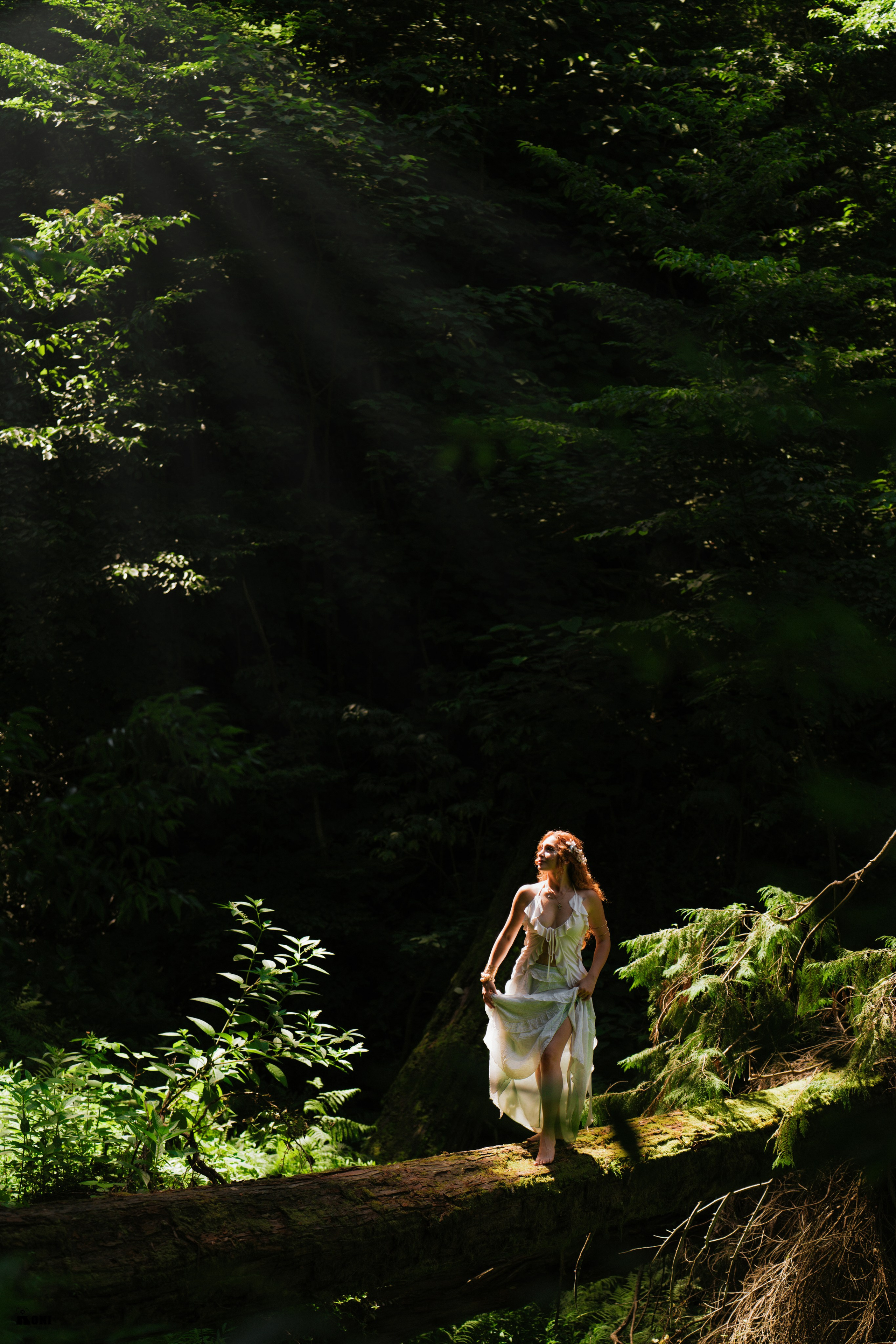 Wedding Portrait Photographer